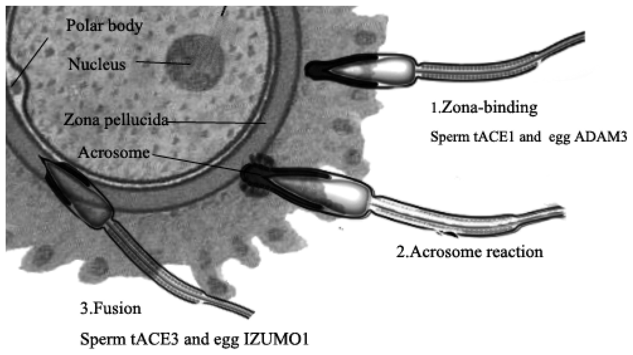 Ijms 14 21071f2