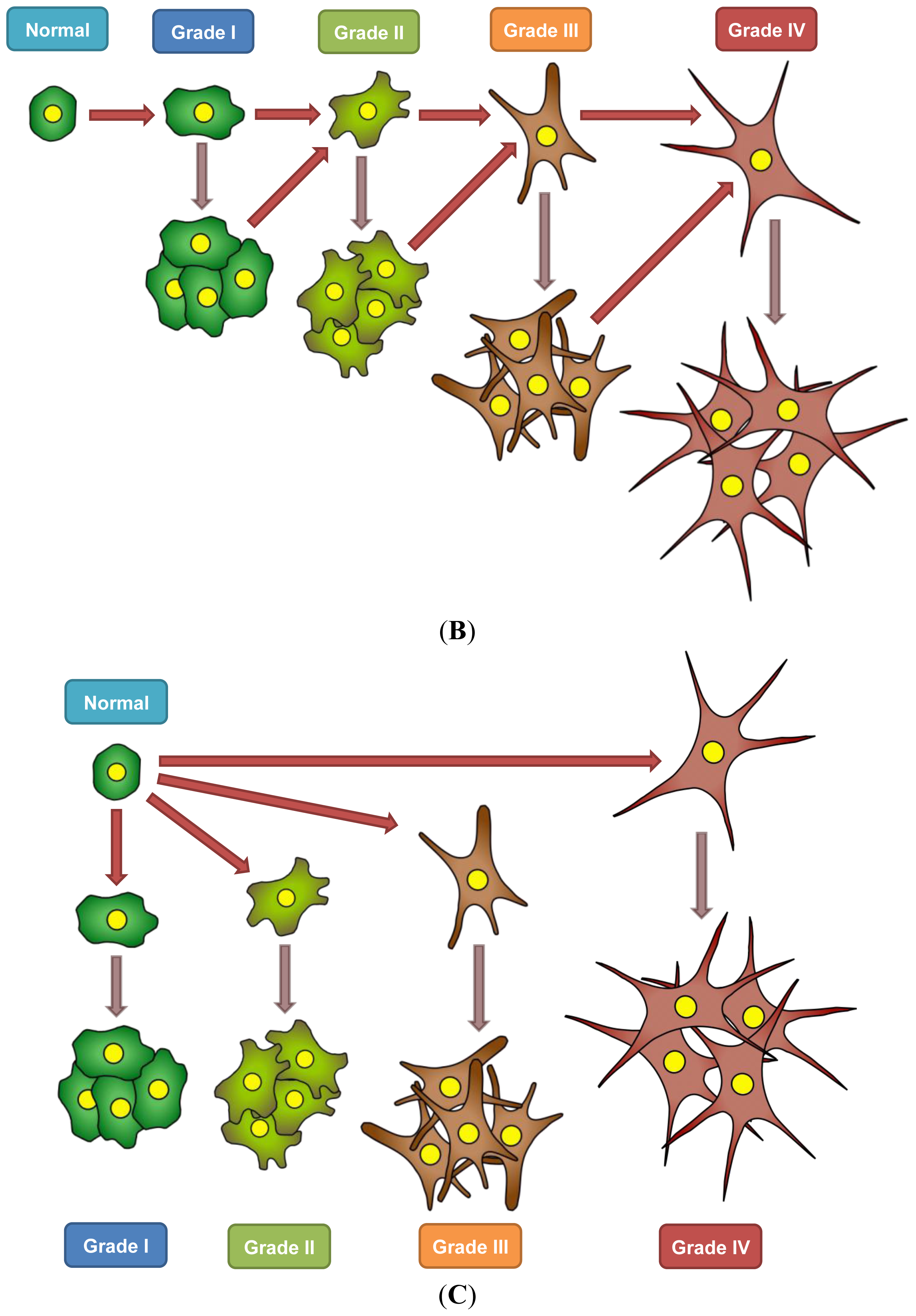 Ijms 14 21087f1b 1024