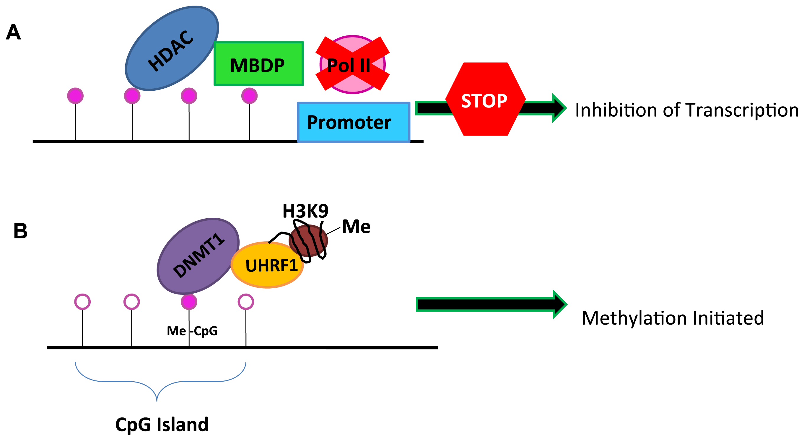 Ijms 14 21087f2 1024