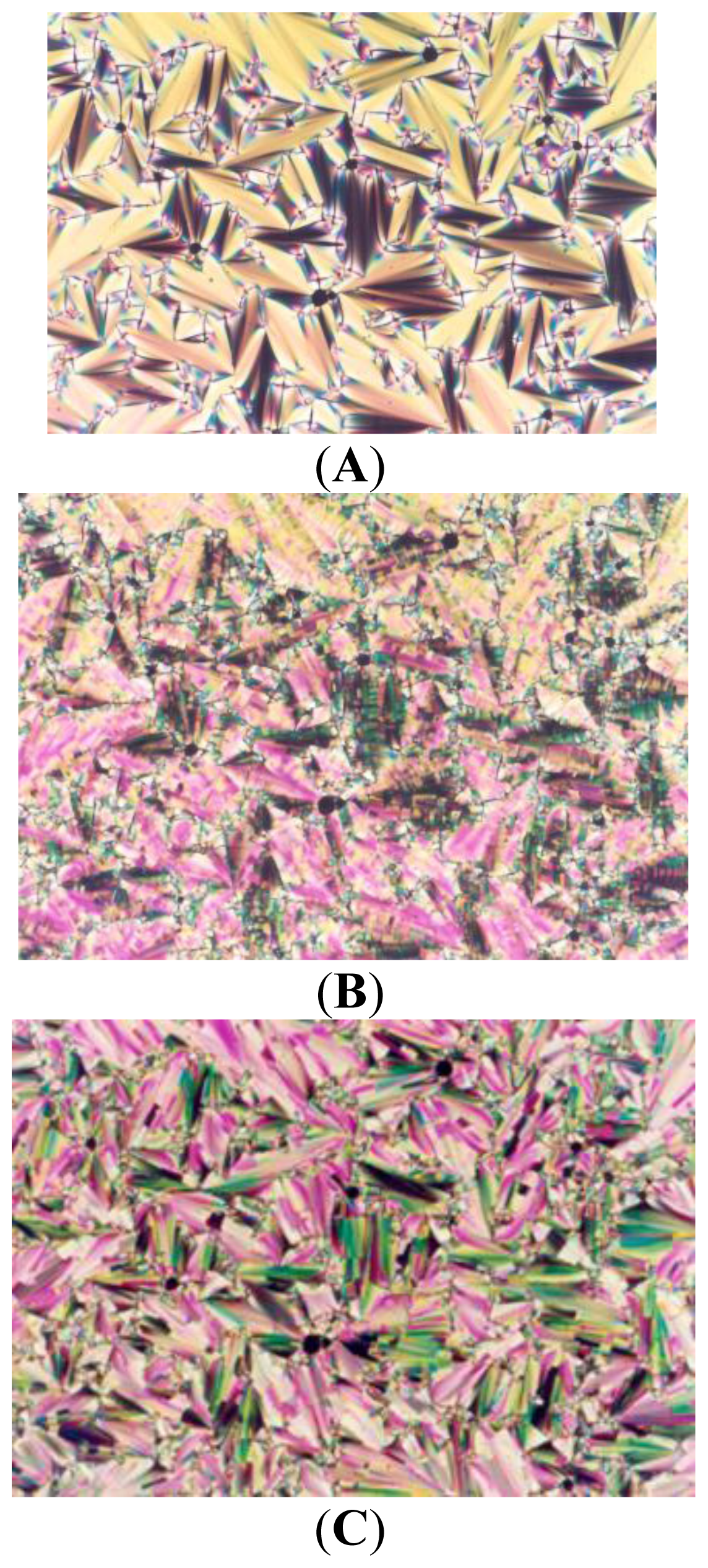 Ijms 14 21306f2 1024