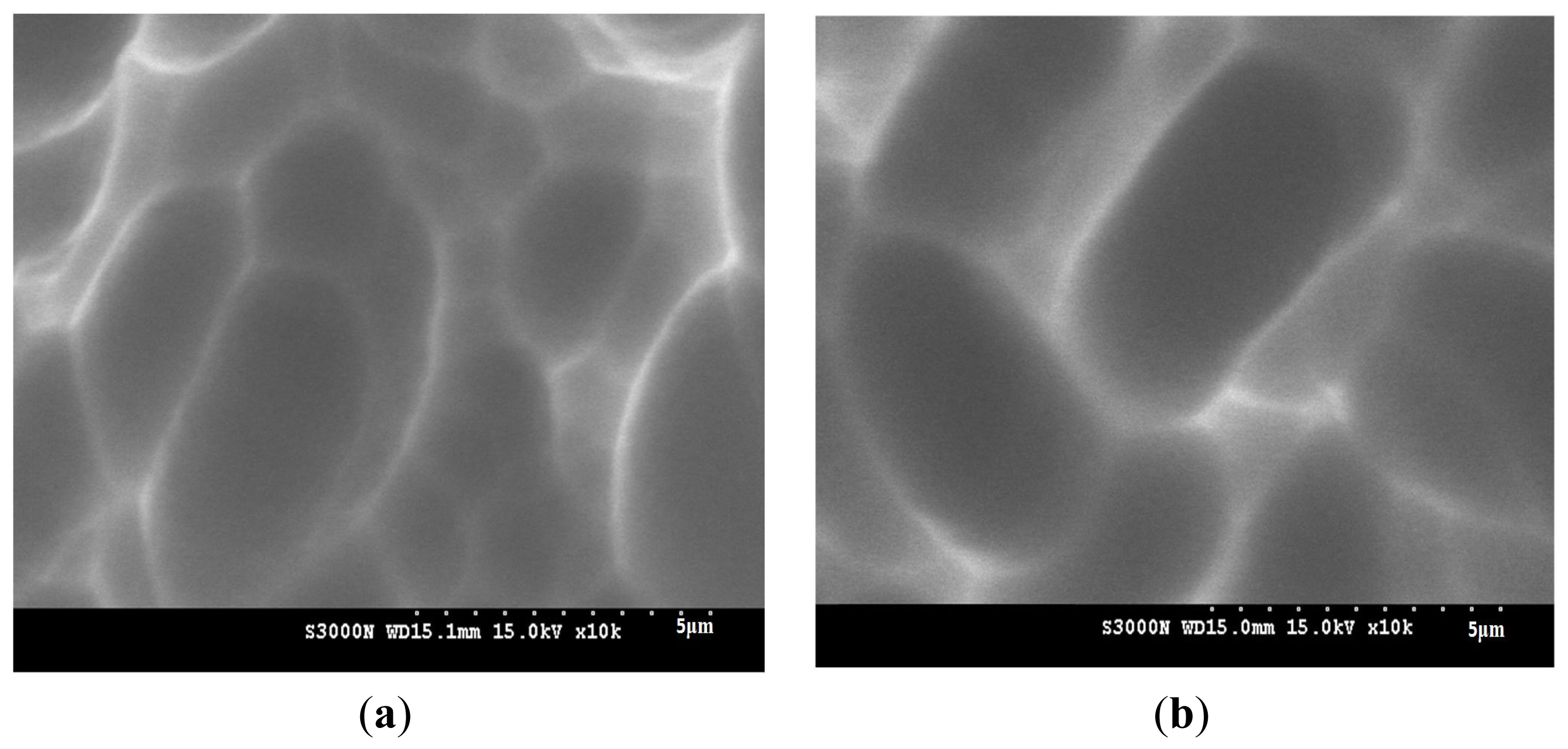 Ijms 14 21319f3 1024