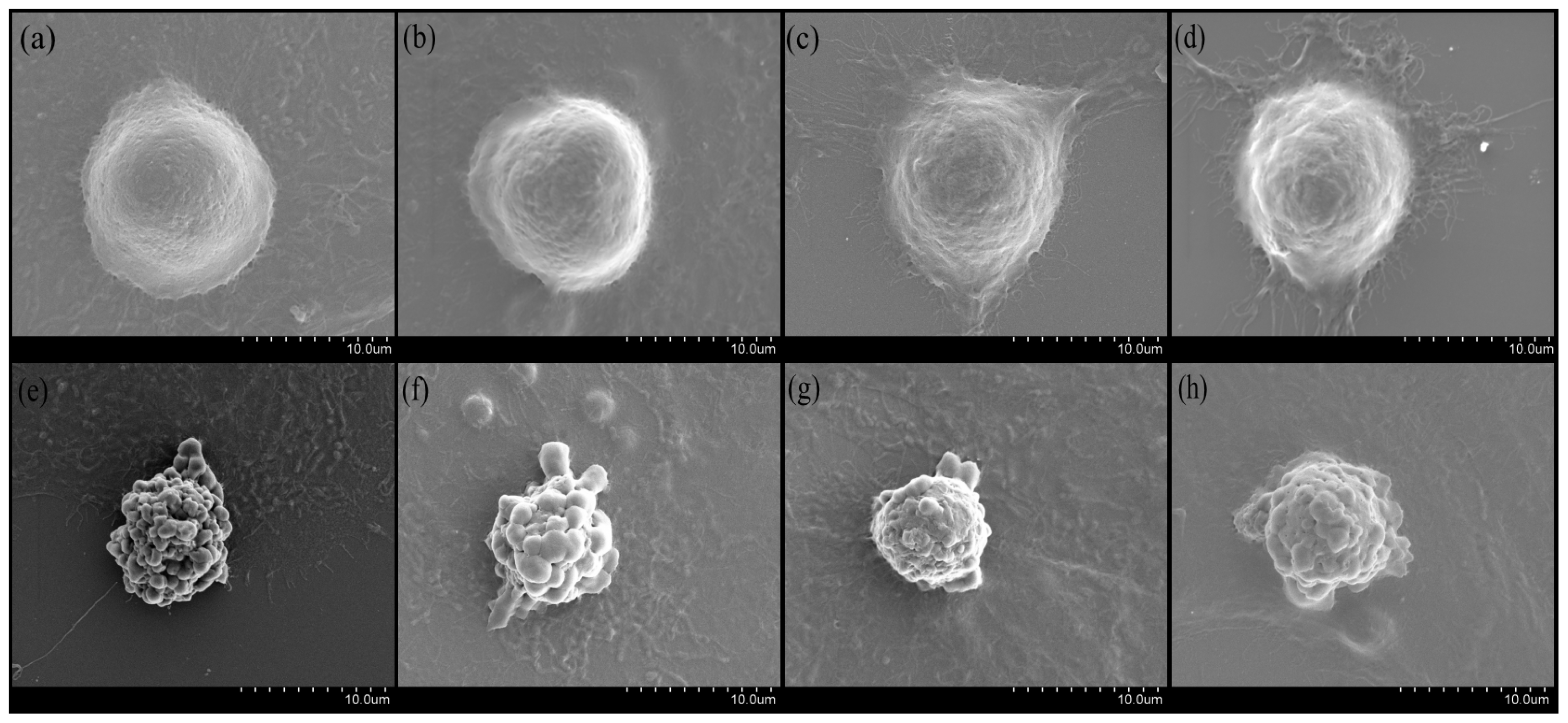 Ijms 14 21447f2 1024