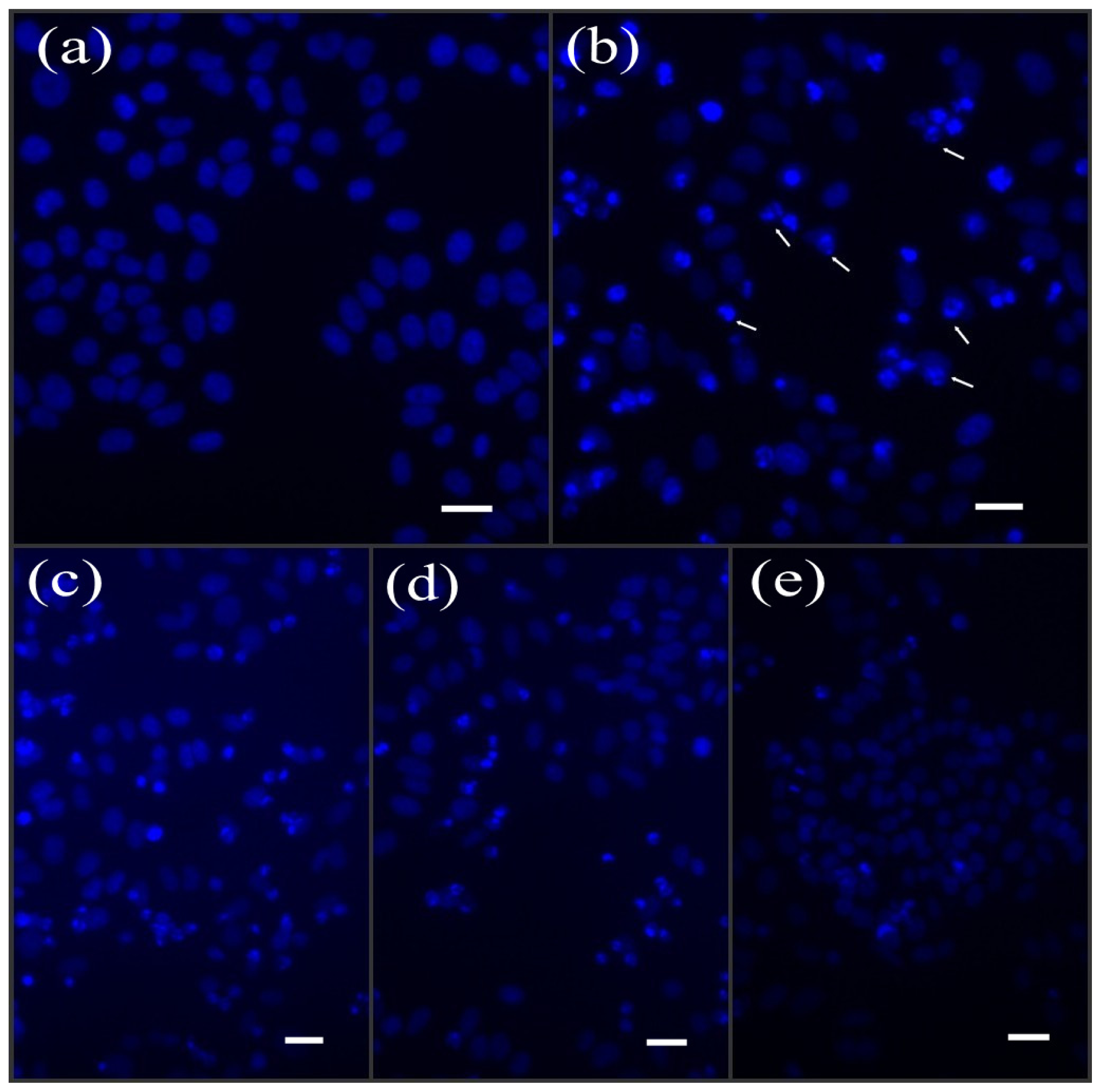 Ijms 14 21447f3 1024