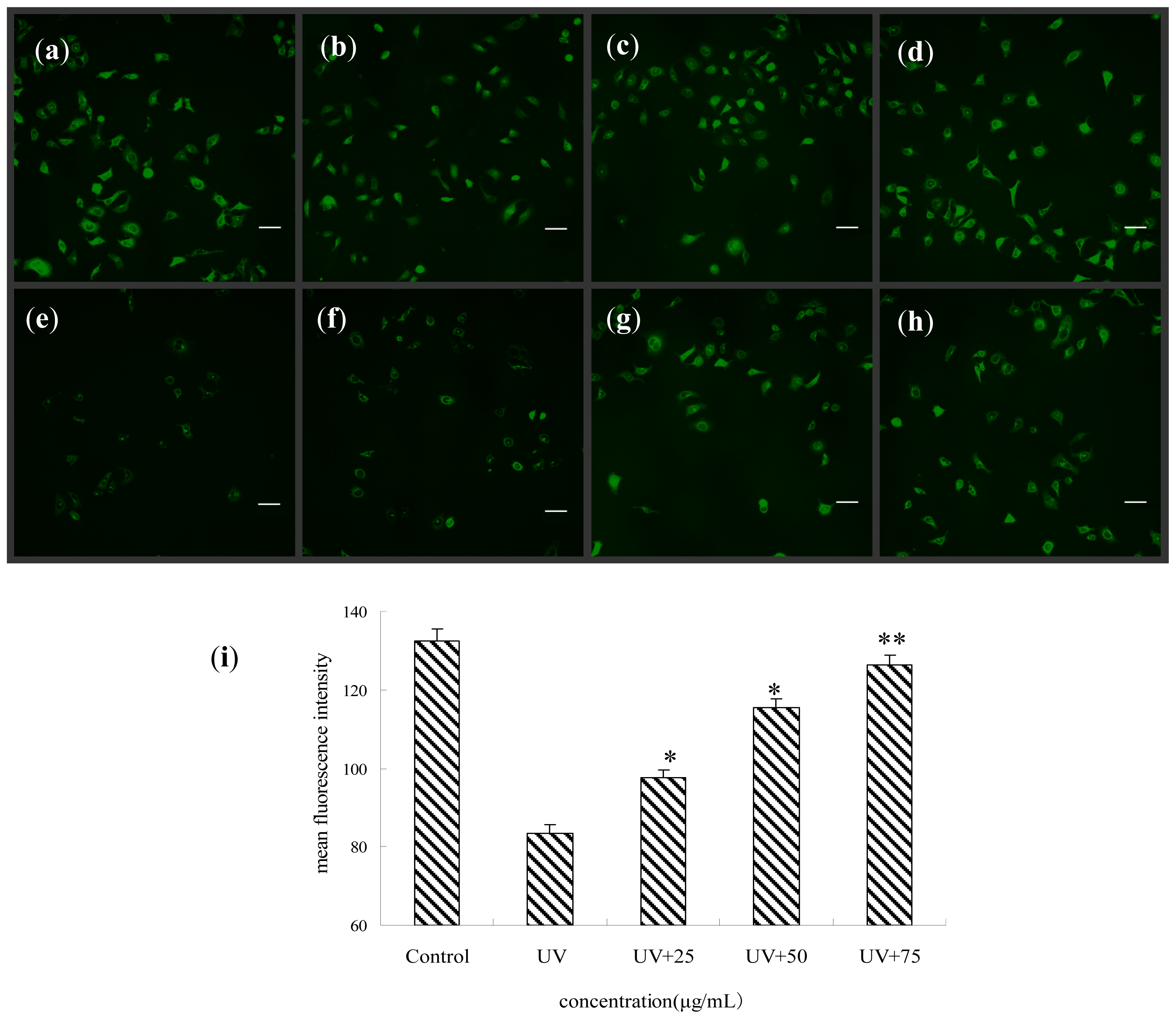 Ijms 14 21447f5 1024