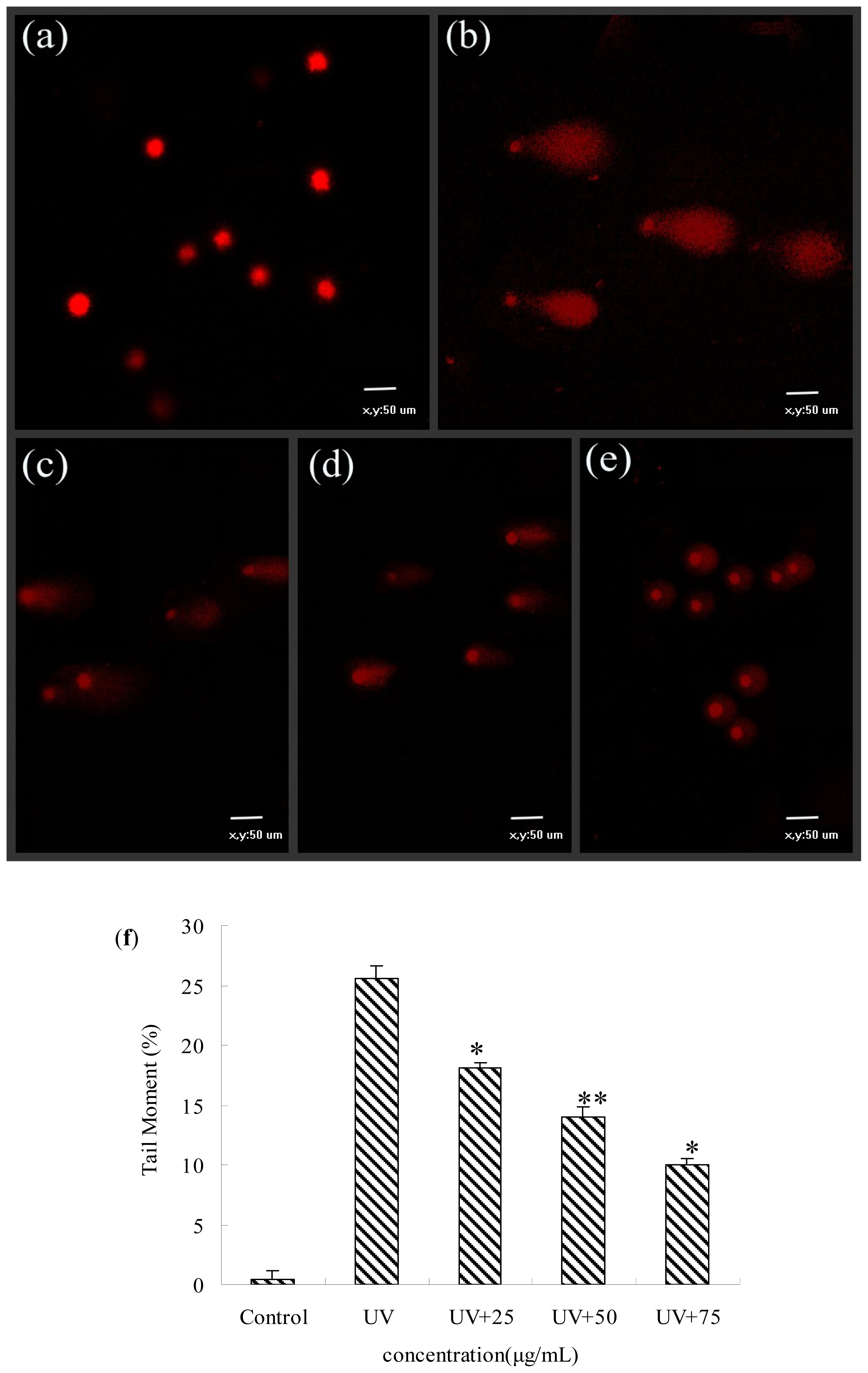 Ijms 14 21447f6 1024