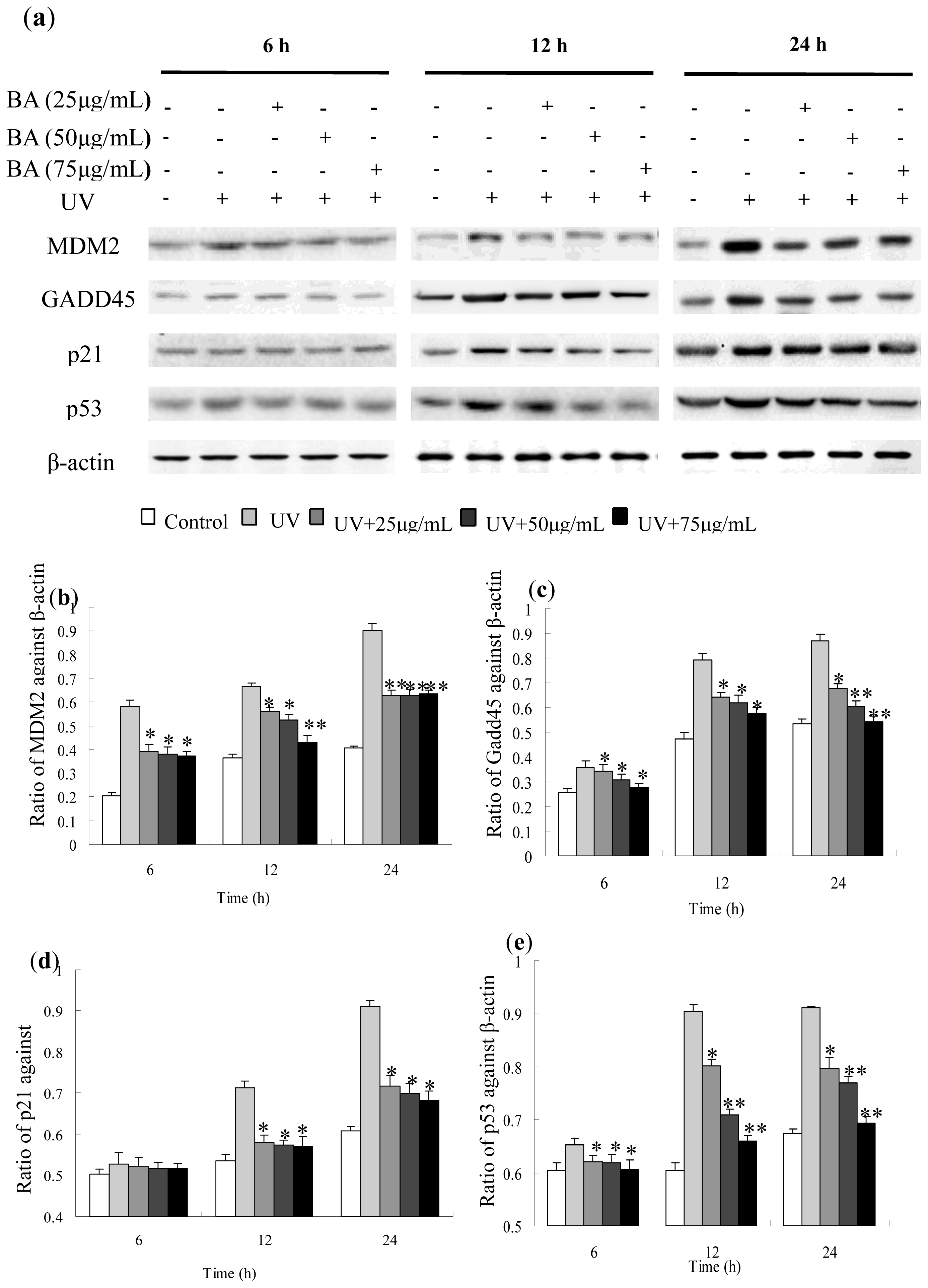 Ijms 14 21447f8 1024