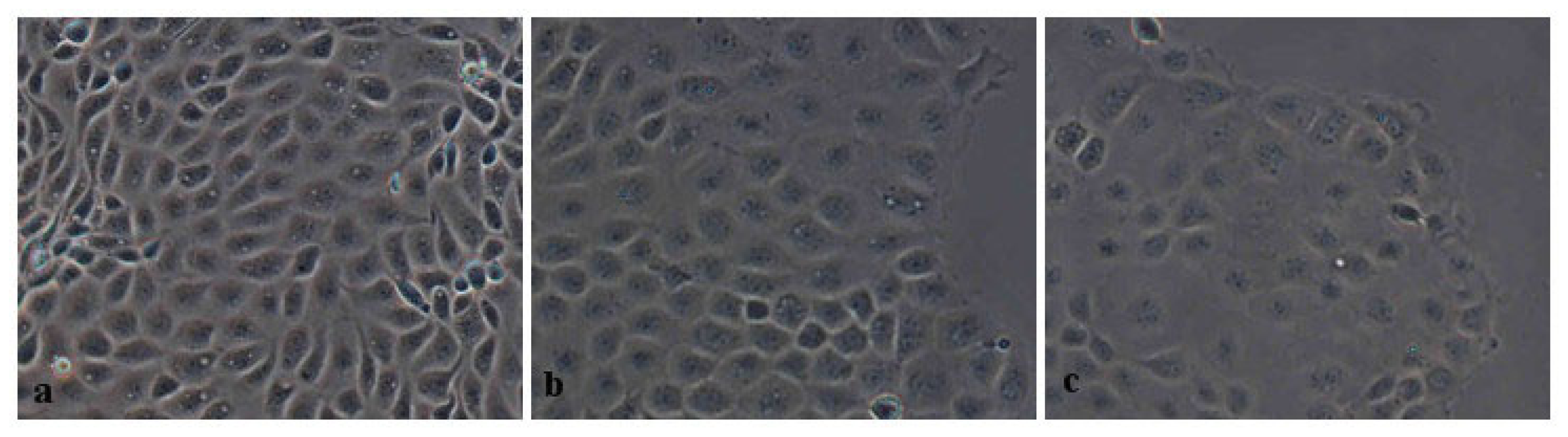 Ijms 14 21689f5 1024