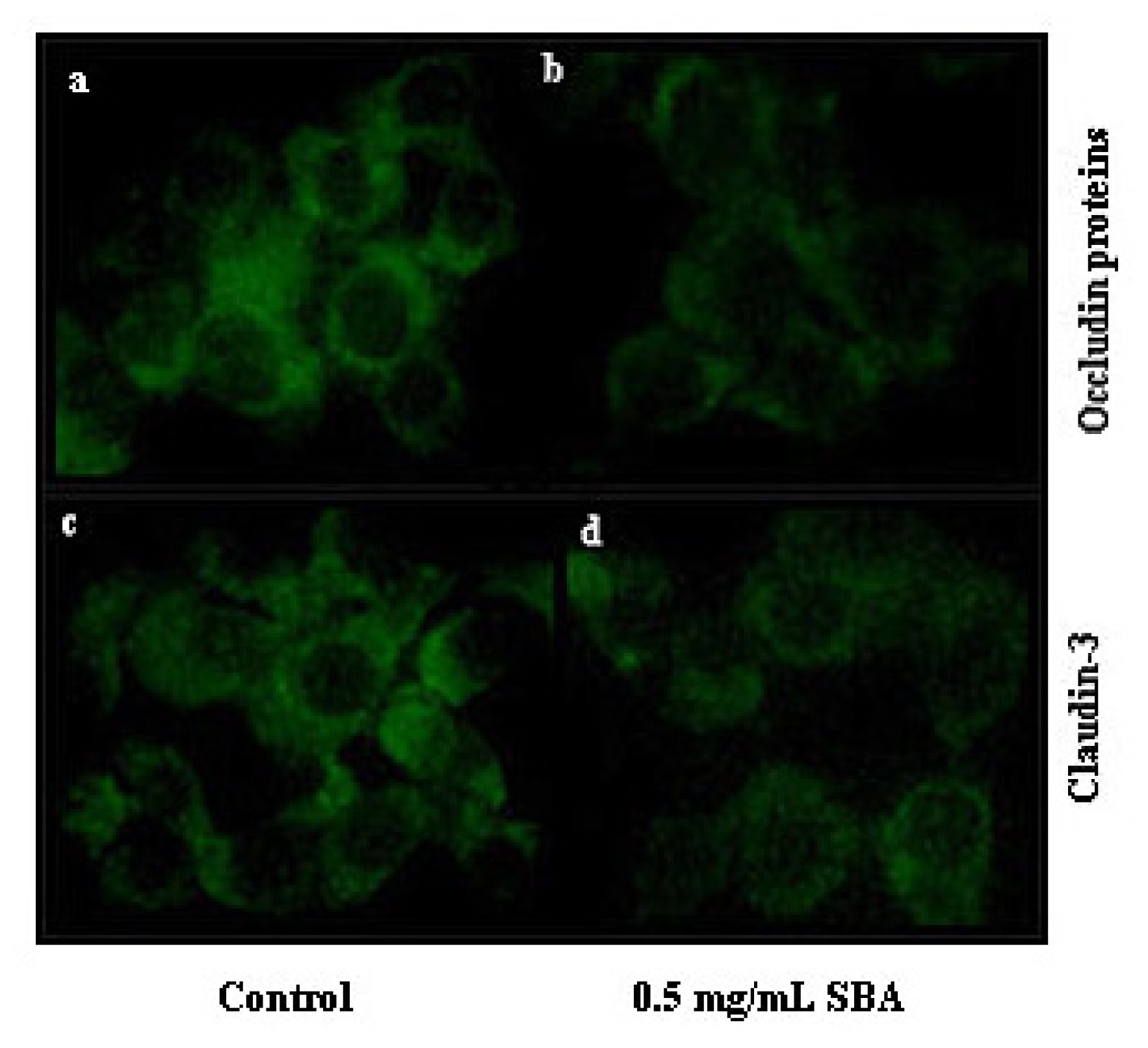 Ijms 14 21689f6 1024