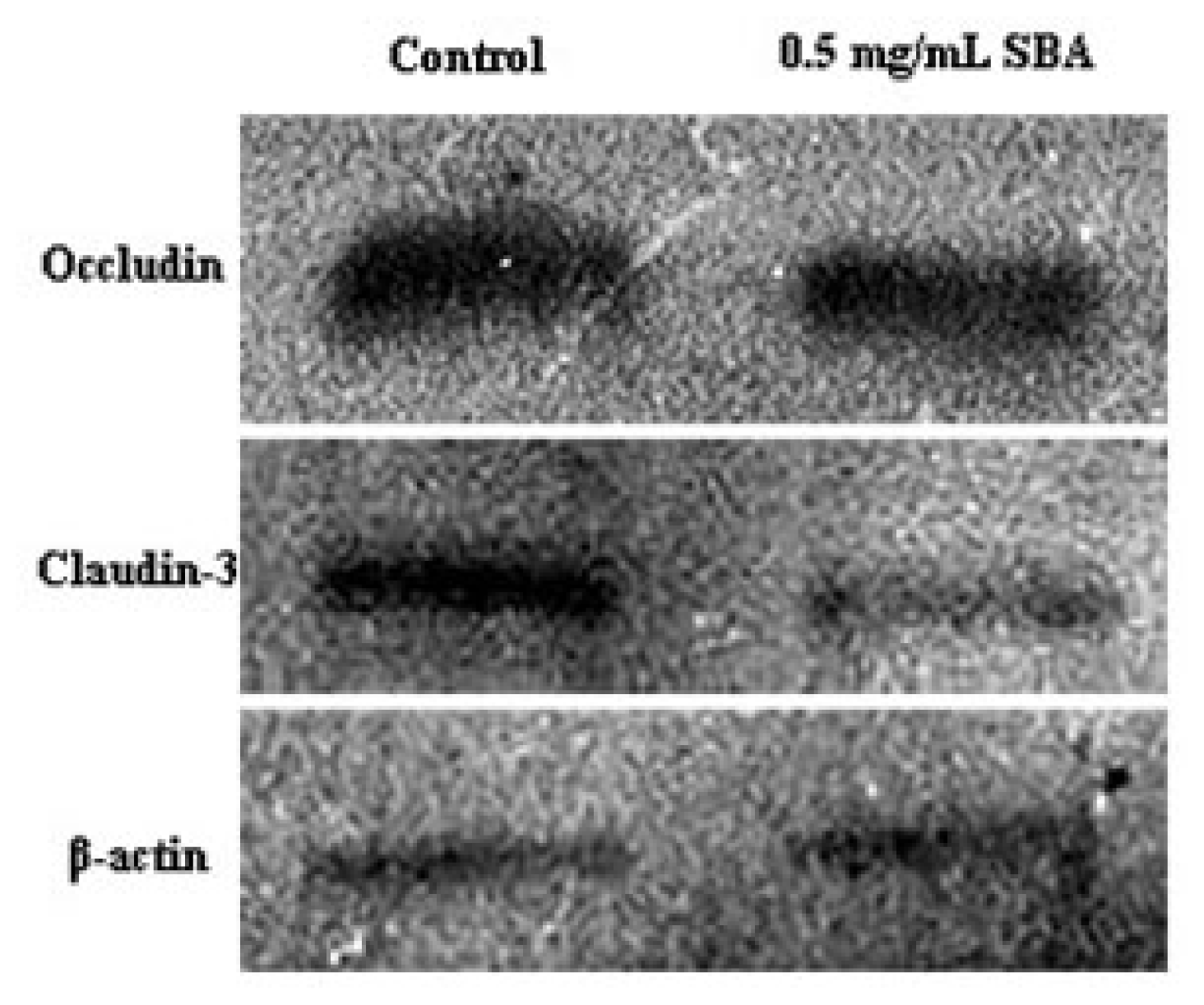 Ijms 14 21689f7 1024
