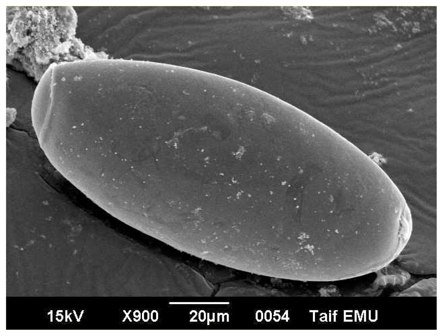 Ijms 14 21887f3 1024