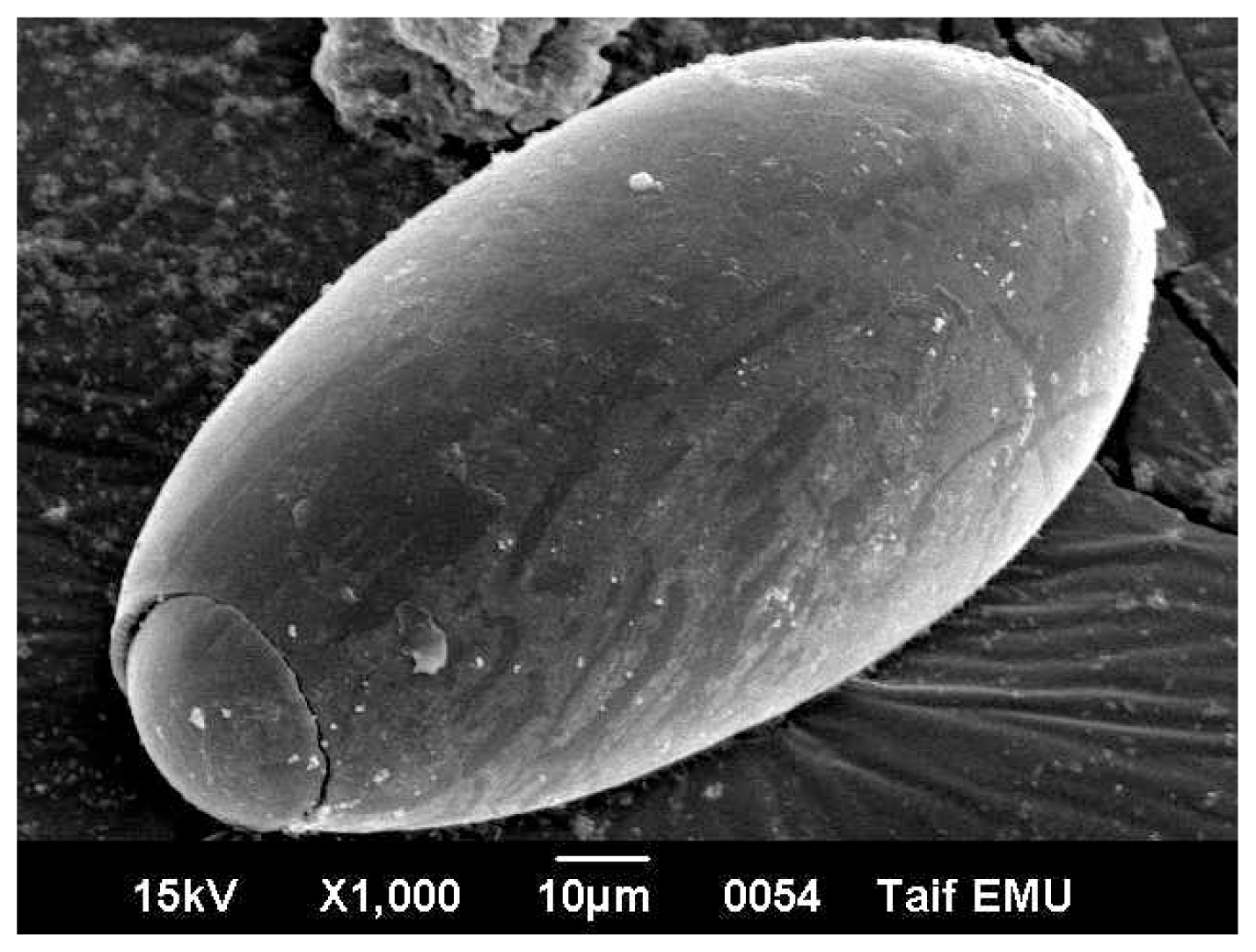 Ijms 14 21887f4 1024