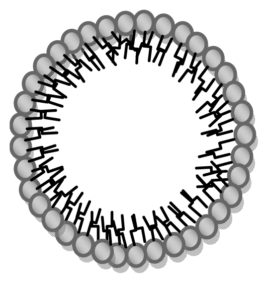 Ijms 14 21899f1 1024