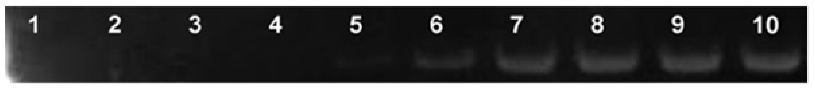 Ijms 14 21899f25 1024