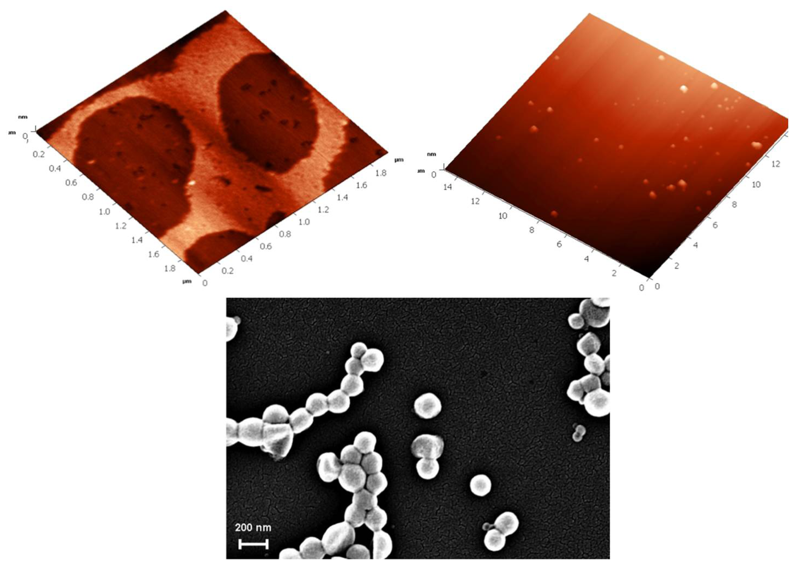 Ijms 14 21899f31 1024