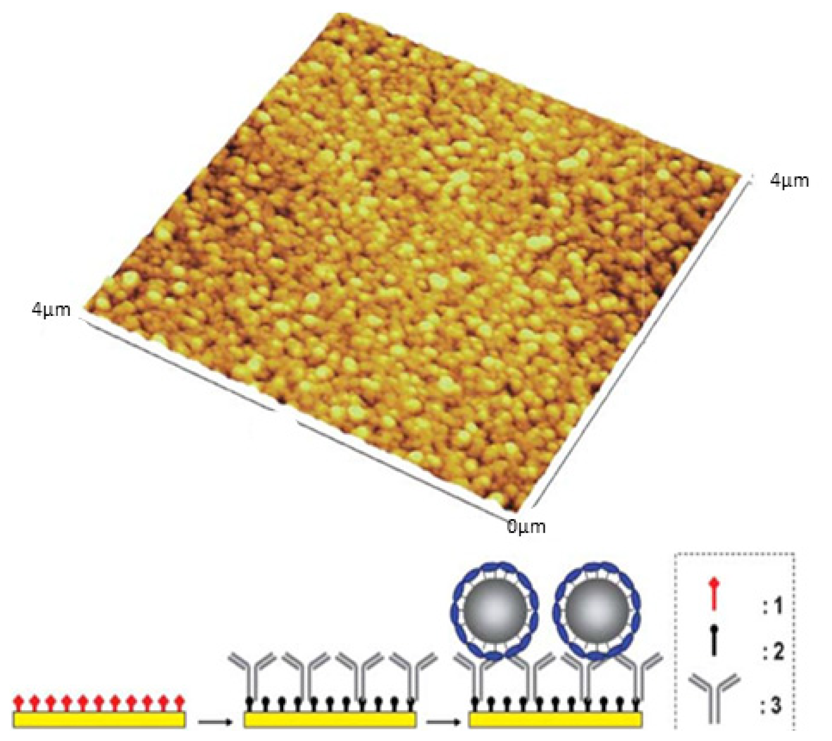 Ijms 14 21899f42 1024