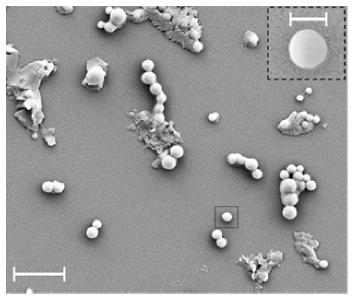 Ijms 14 21899f43 1024