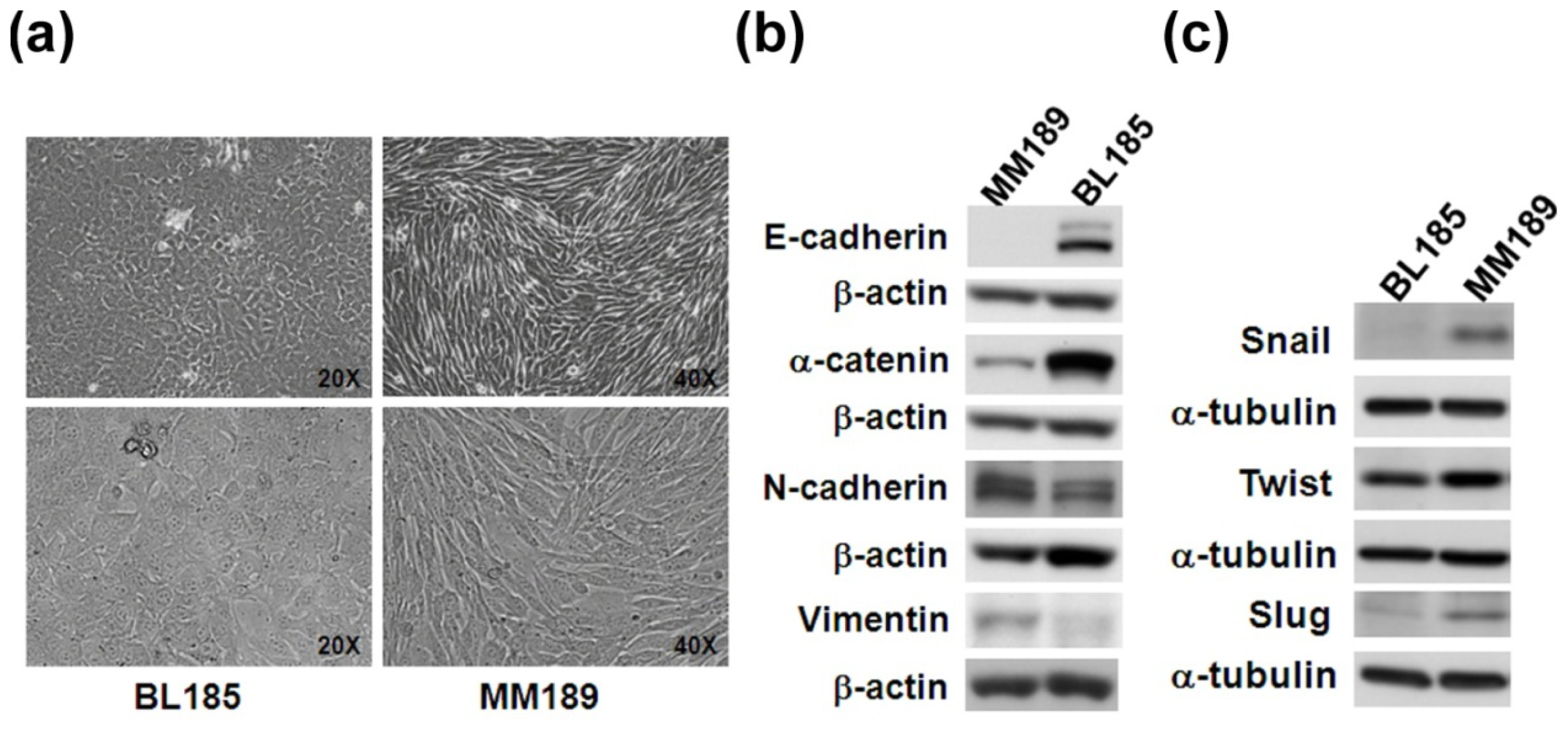 Ijms 14 21943f3 1024