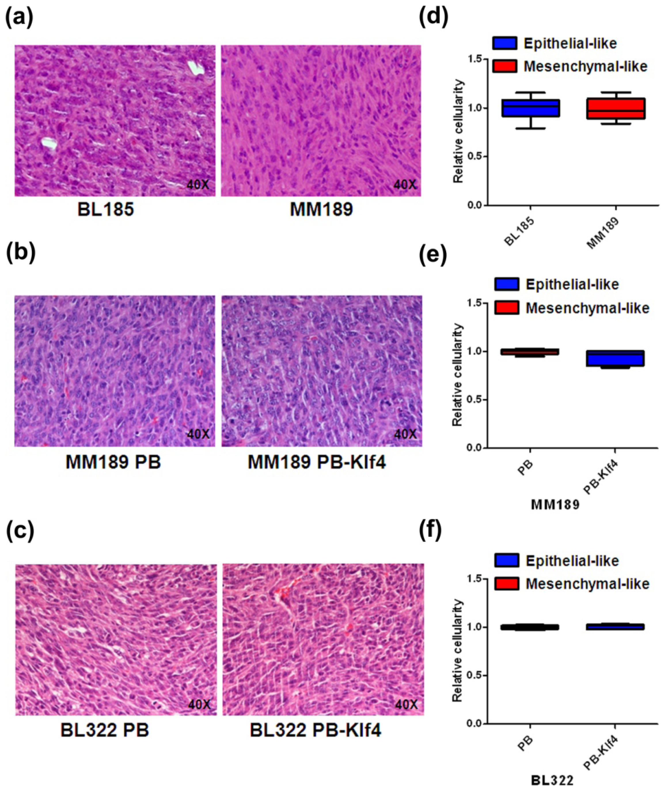 Ijms 14 21943f5 1024