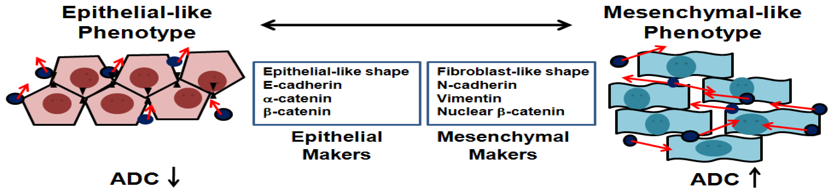 Ijms 14 21943f6 1024