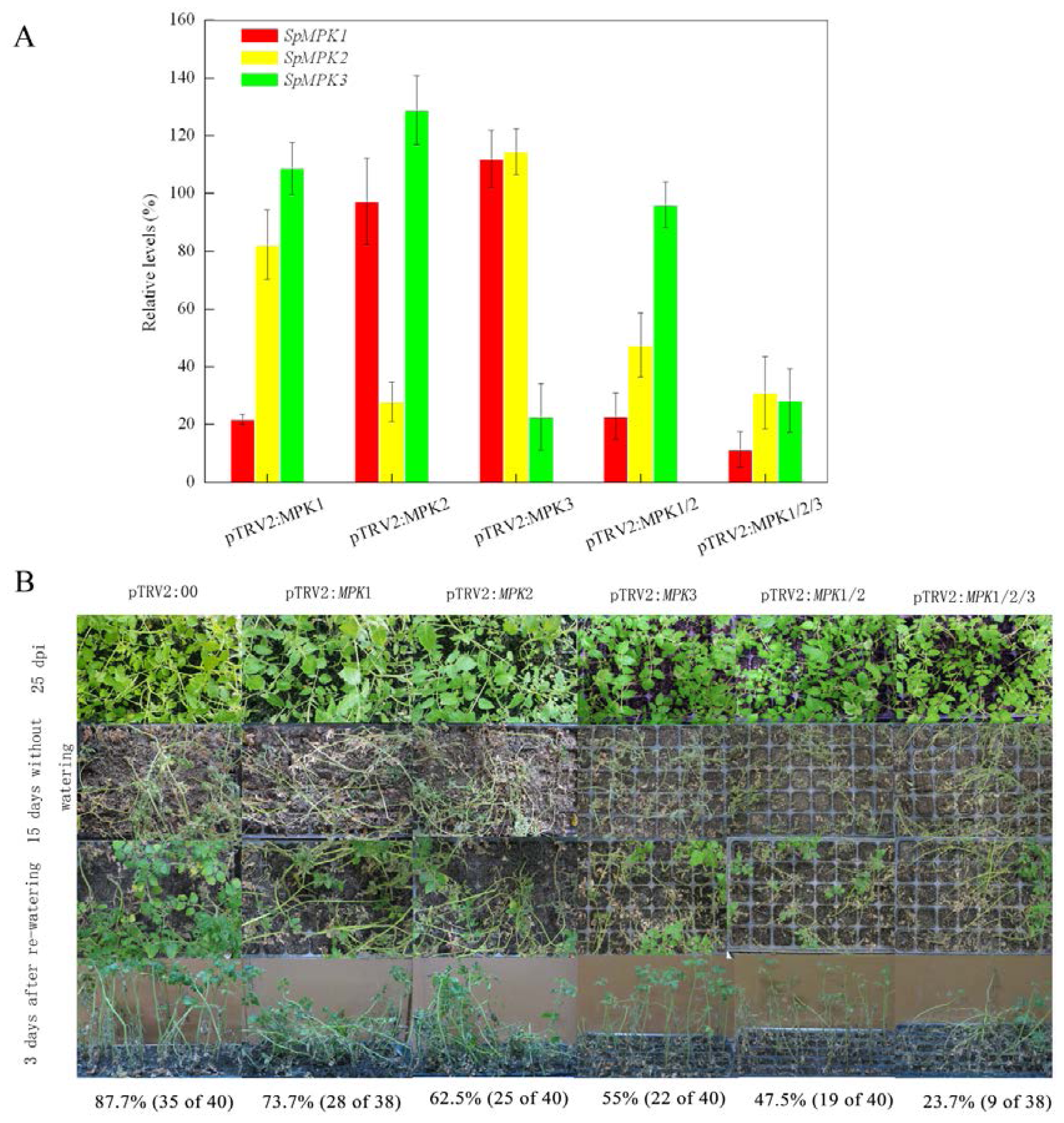 Ijms 14 21983f1a 1024