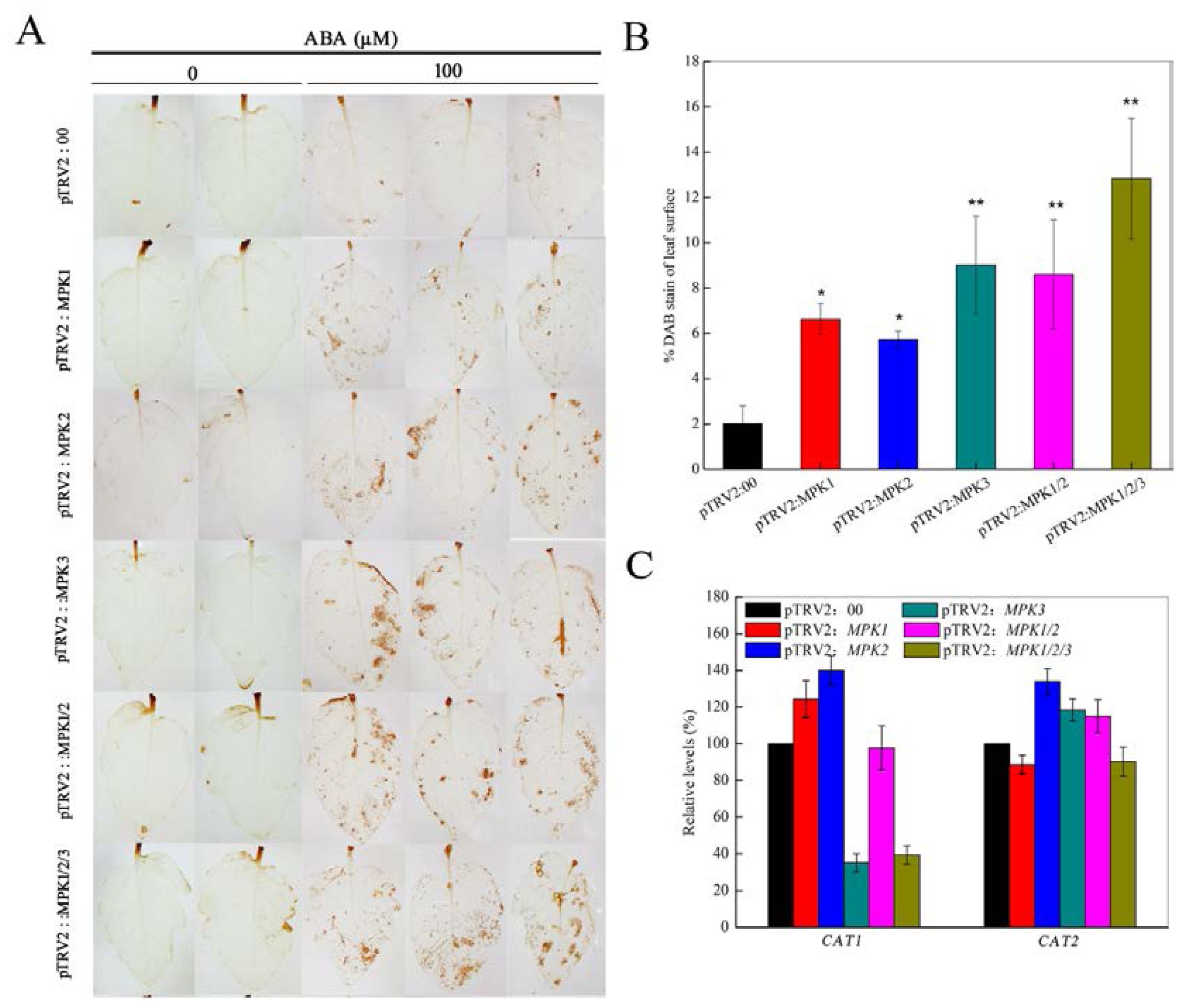 Ijms 14 21983f3 1024