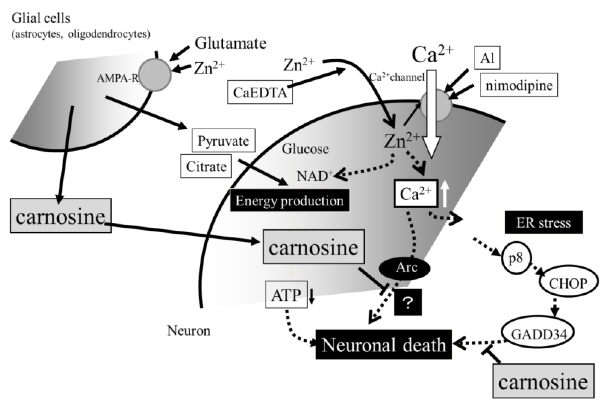 Ijms 14 22067f6 1024