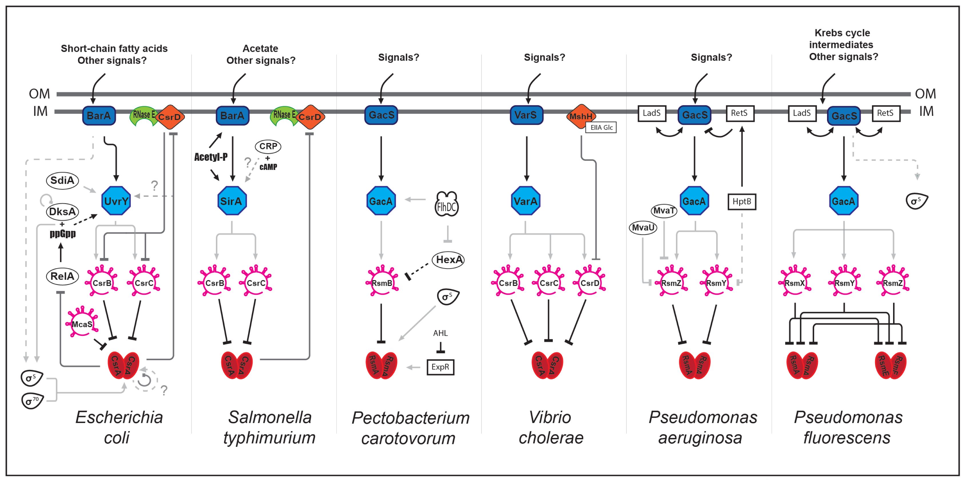 Ijms 14 22117f1 1024
