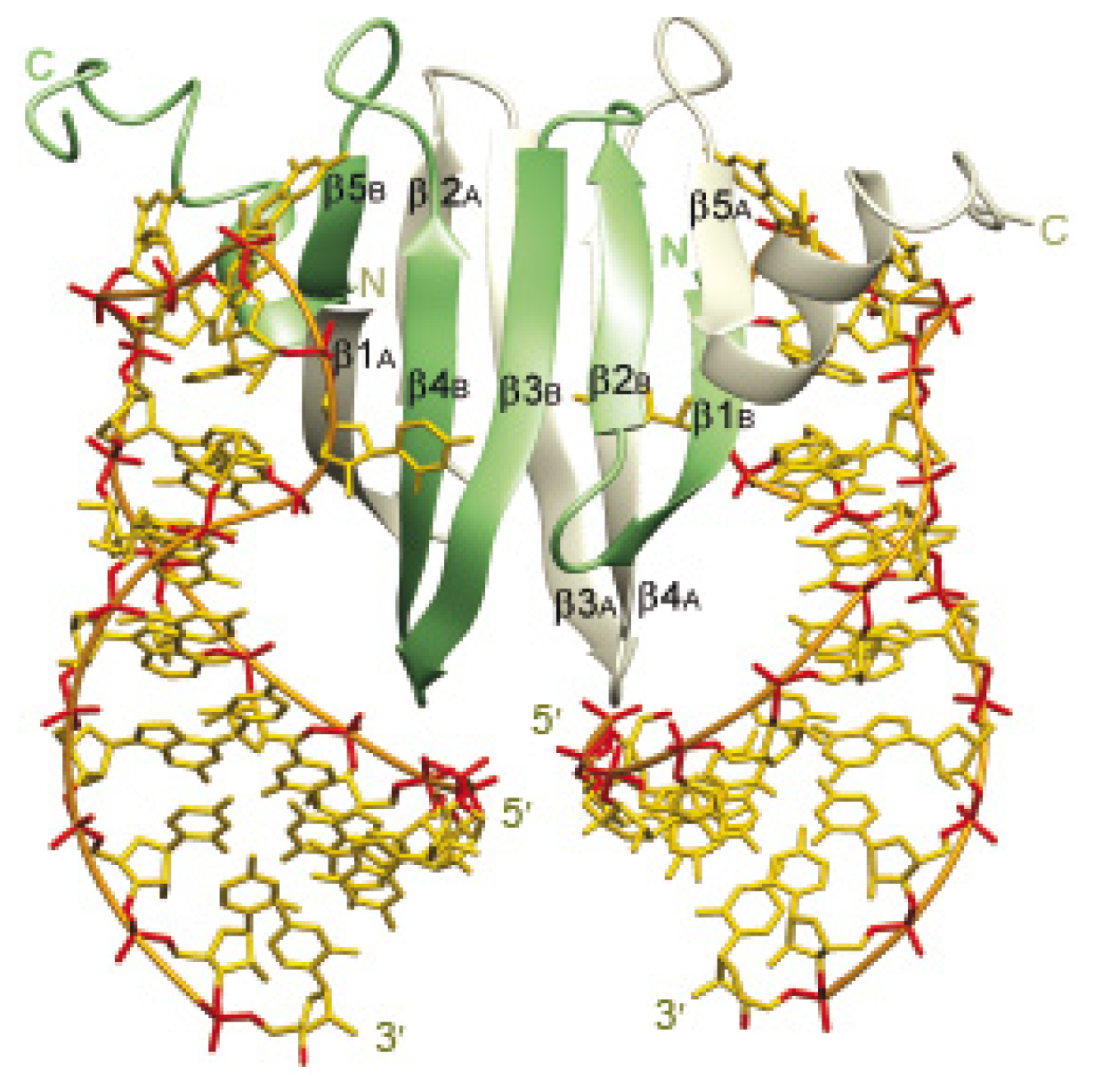 Ijms 14 22117f2 1024