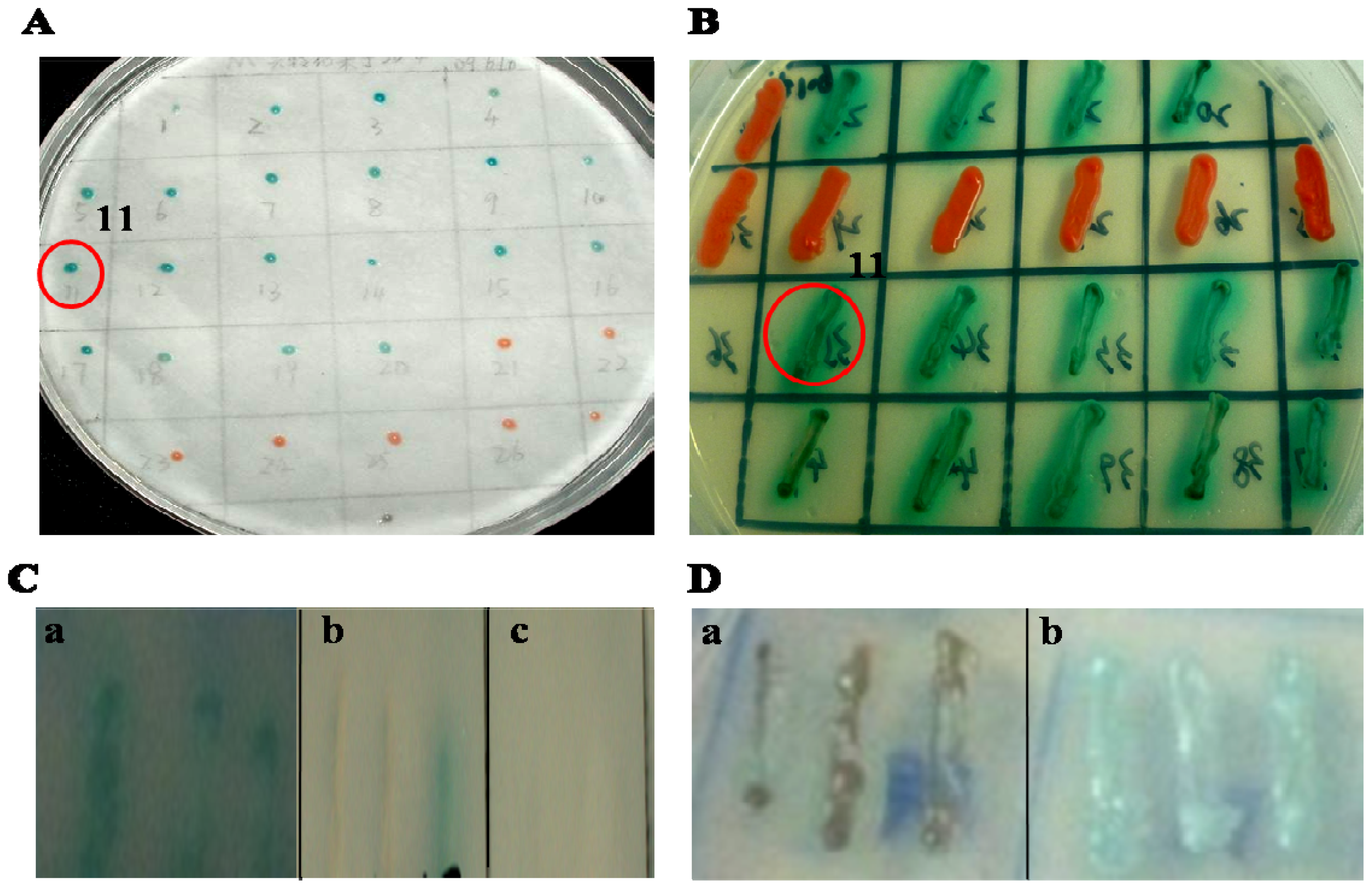 Ijms 14 22233f1 1024