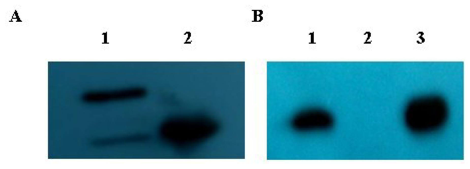 Ijms 14 22233f3 1024