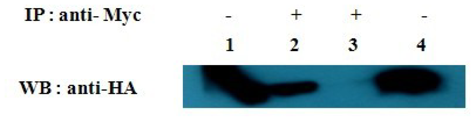 Ijms 14 22233f4 1024