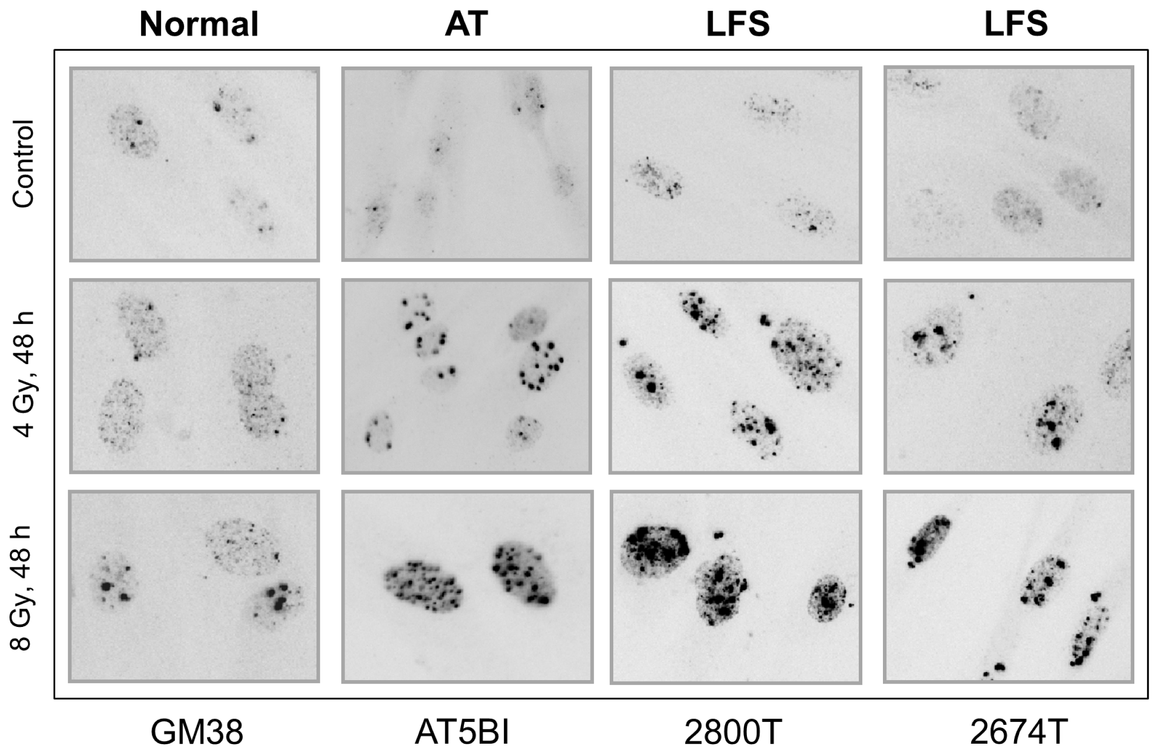 Ijms 14 22409f3 1024