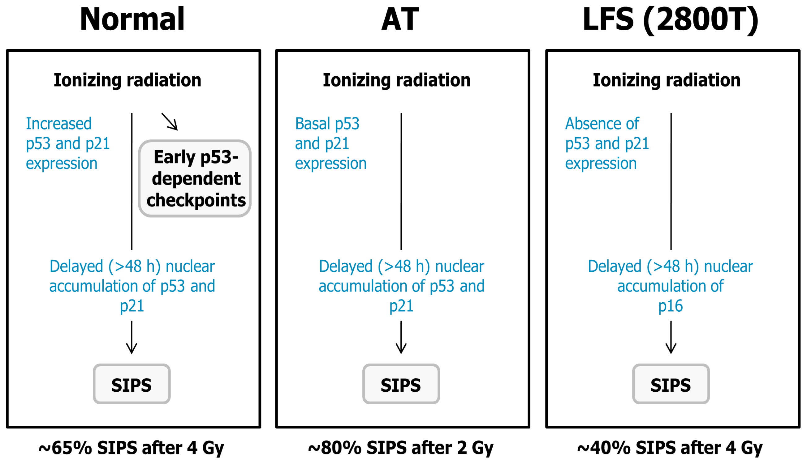 Ijms 14 22409f5 1024
