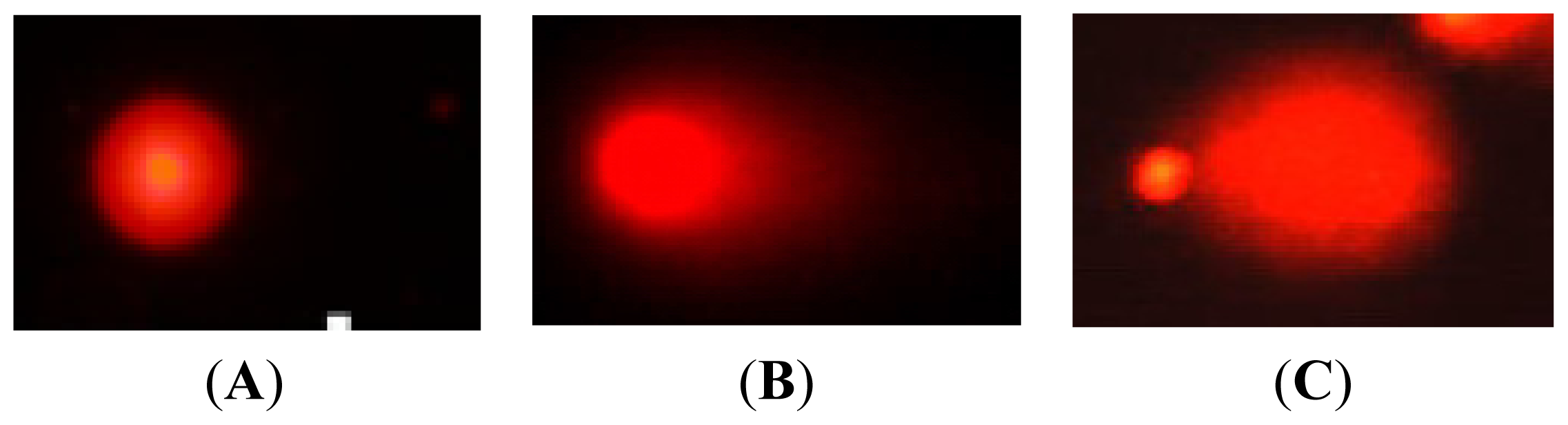 Ijms 14 22449f1 1024