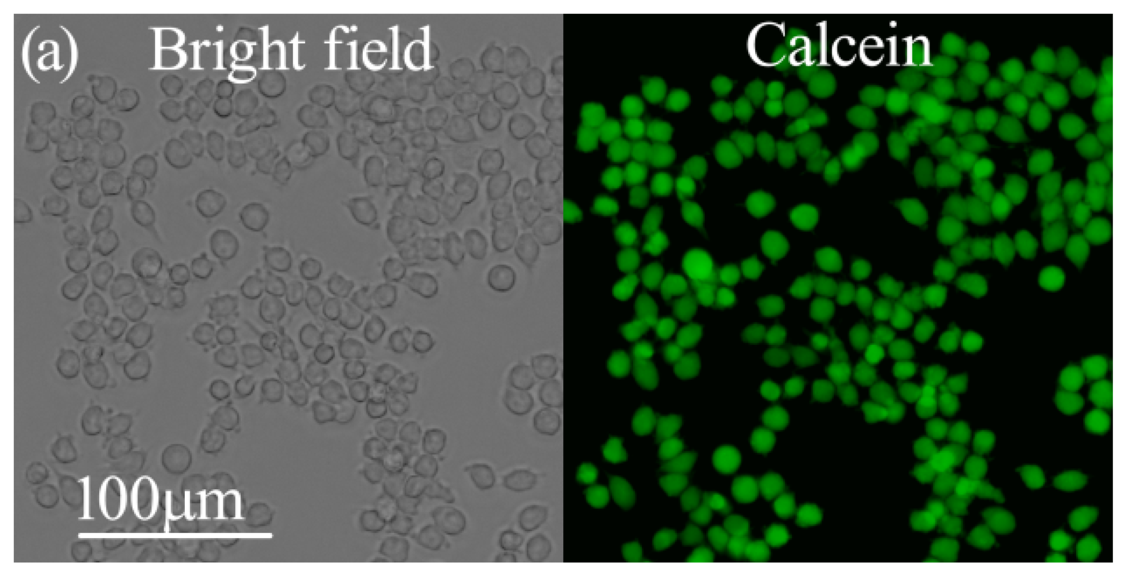 Ijms 14 22529f3a 1024