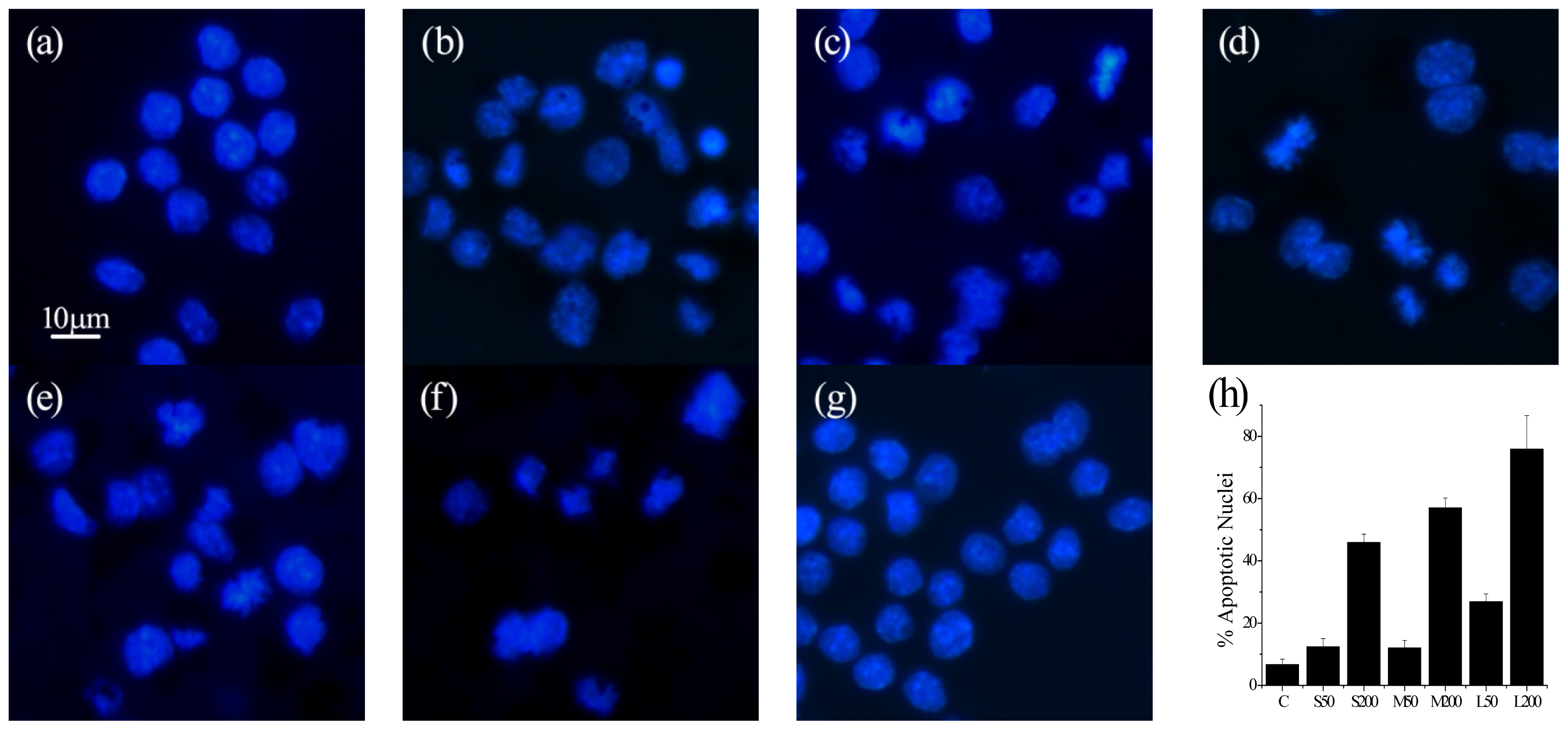 Ijms 14 22529f6 1024