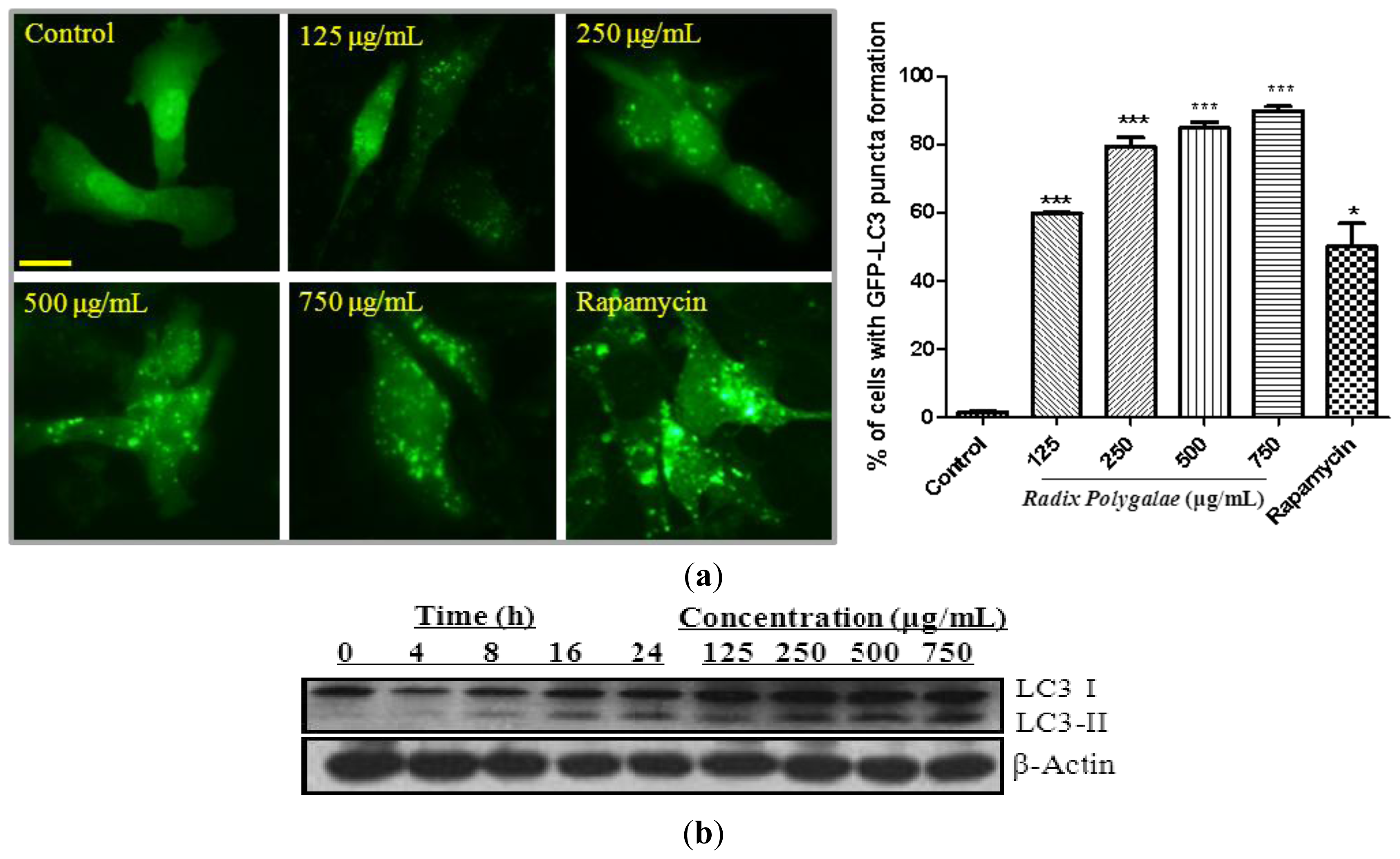 Ijms 14 22618f1 1024