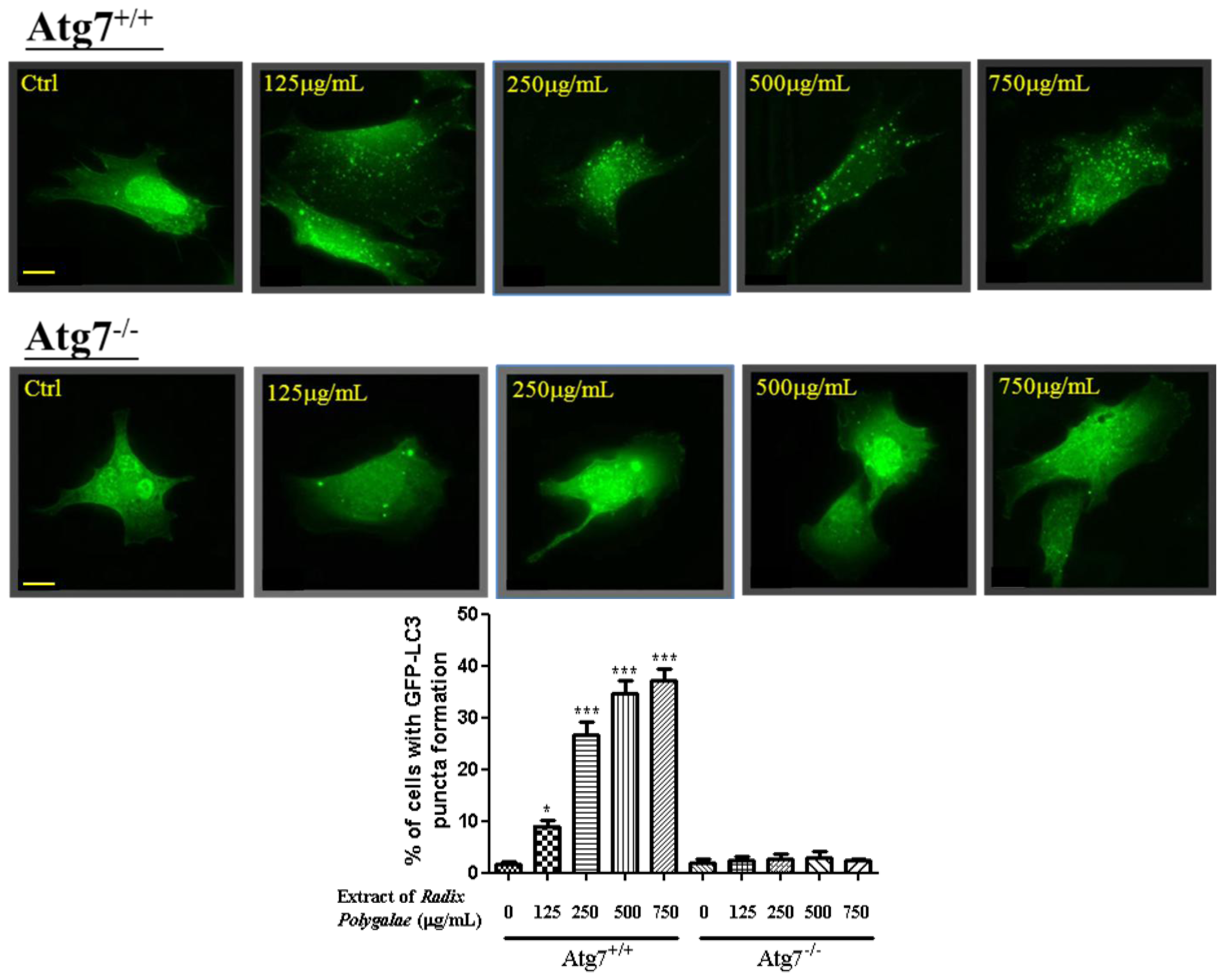 Ijms 14 22618f2 1024