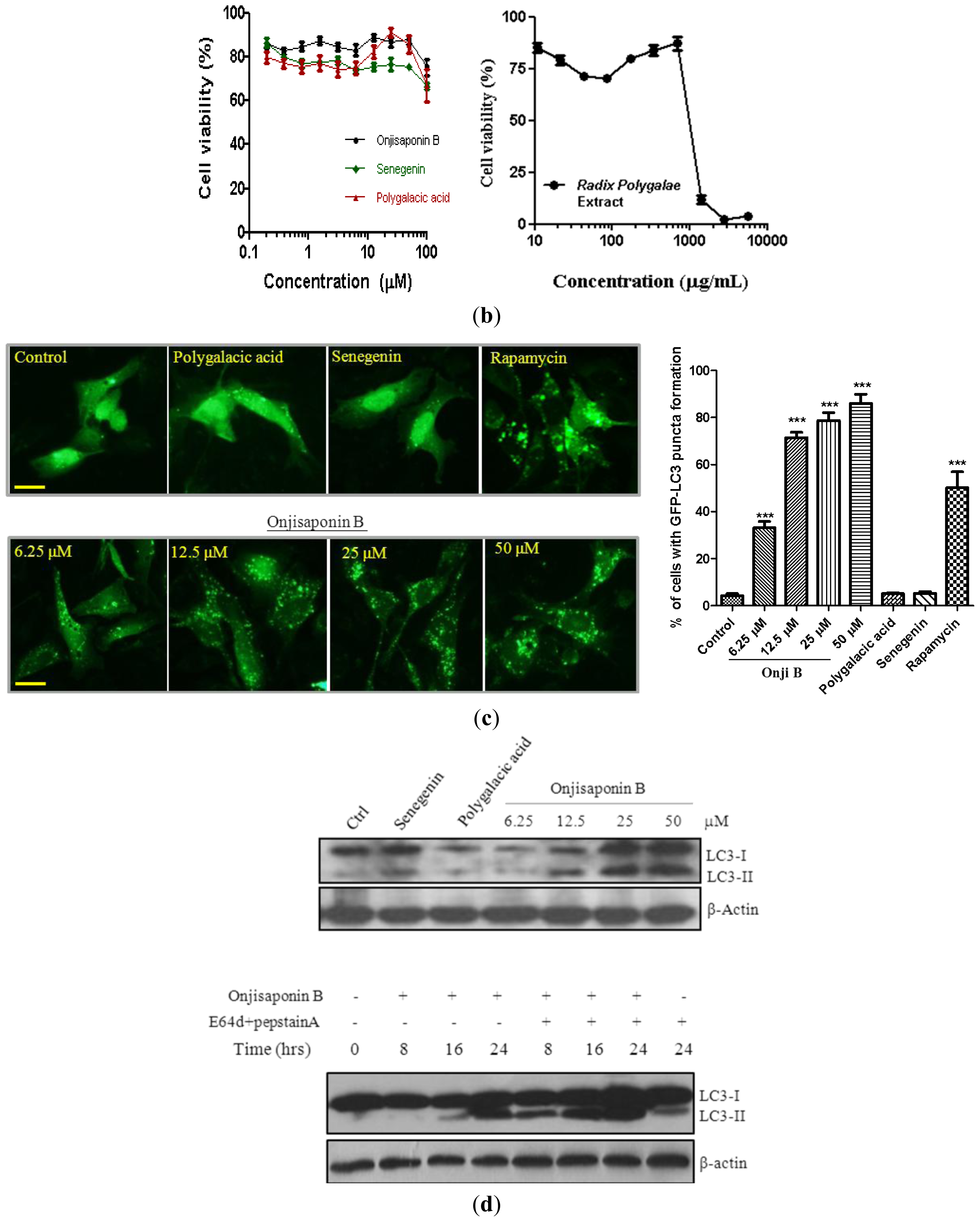 Ijms 14 22618f4b 1024