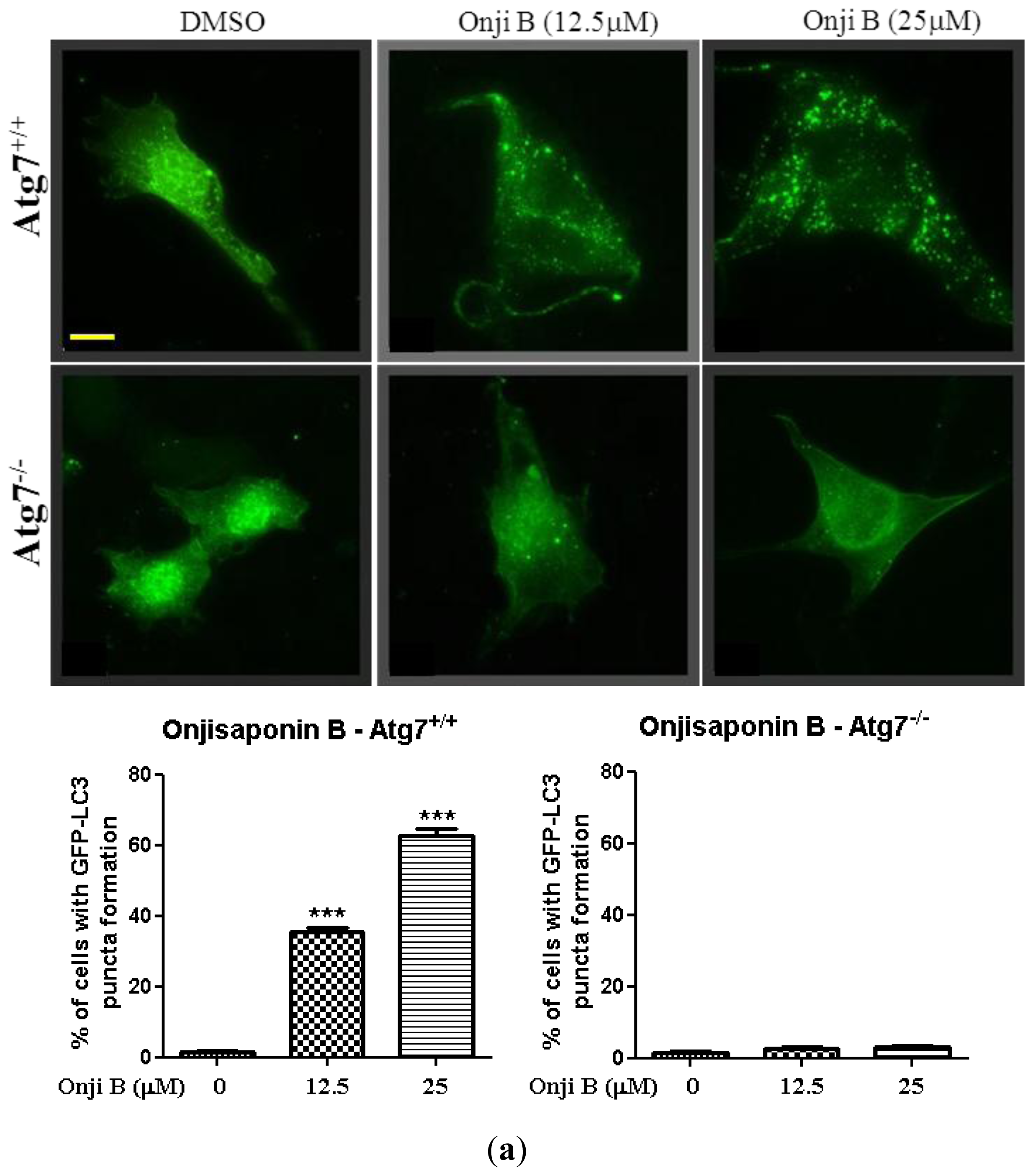Ijms 14 22618f5a 1024