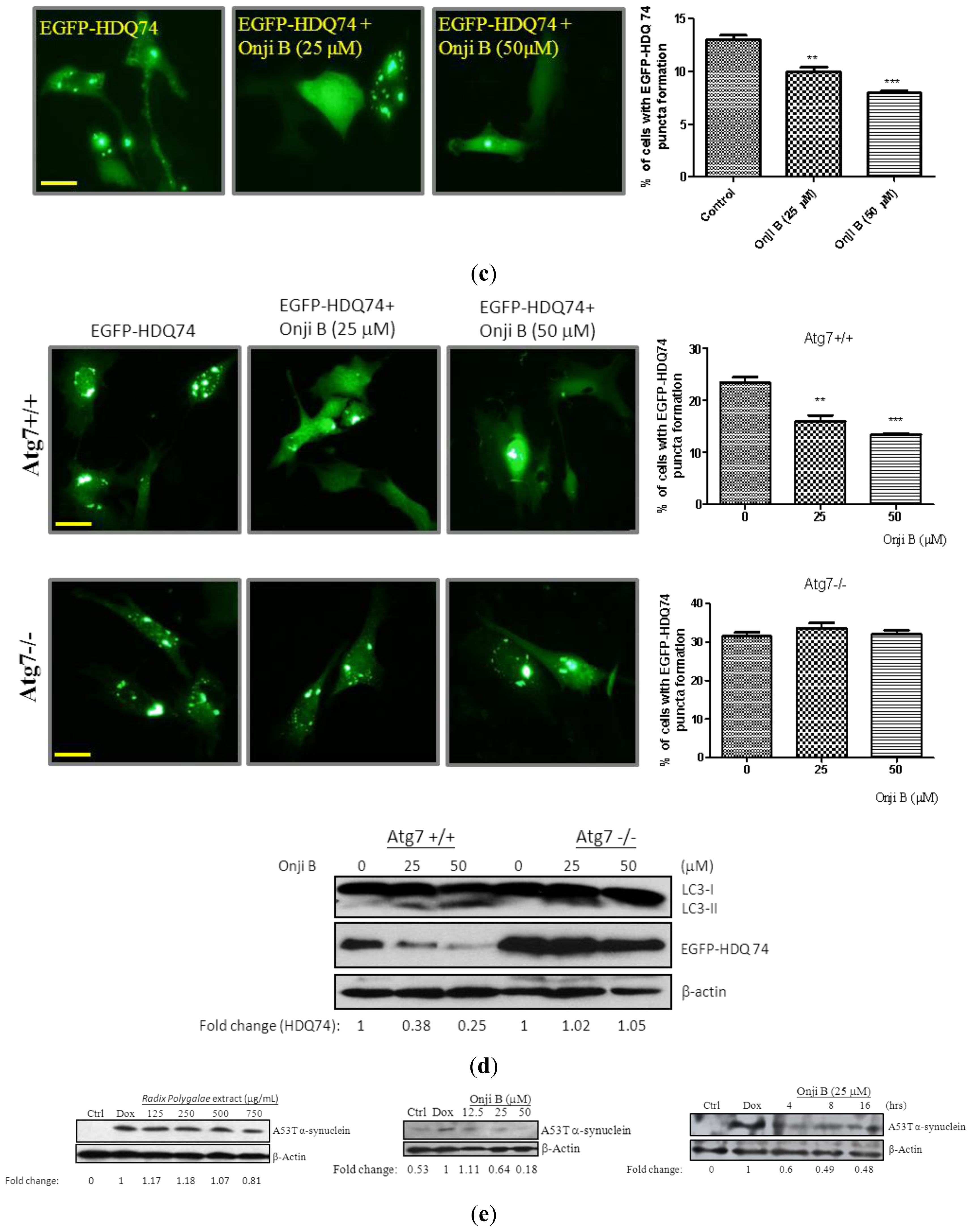 Ijms 14 22618f6b 1024
