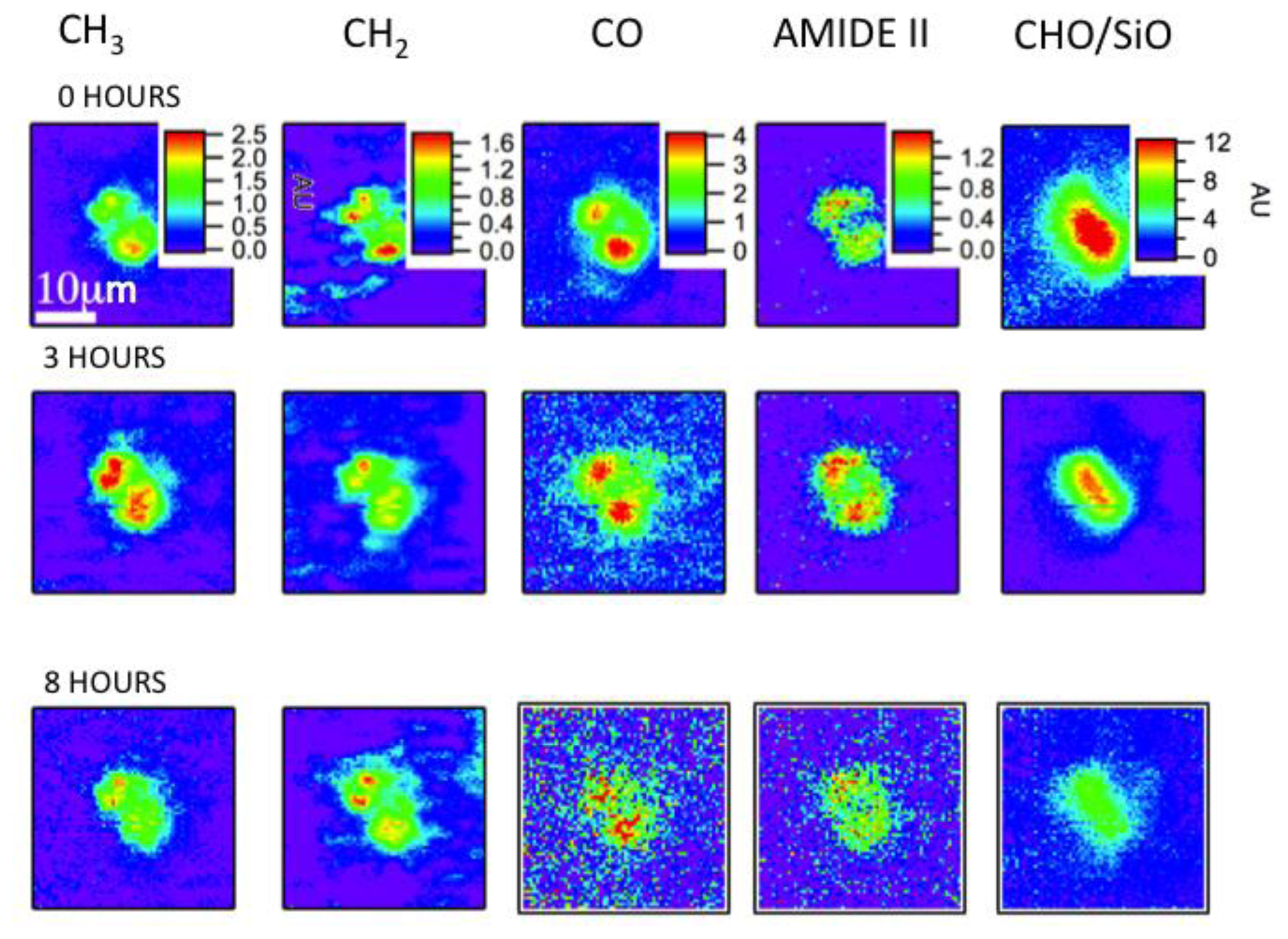 Ijms 14 22753f6 1024