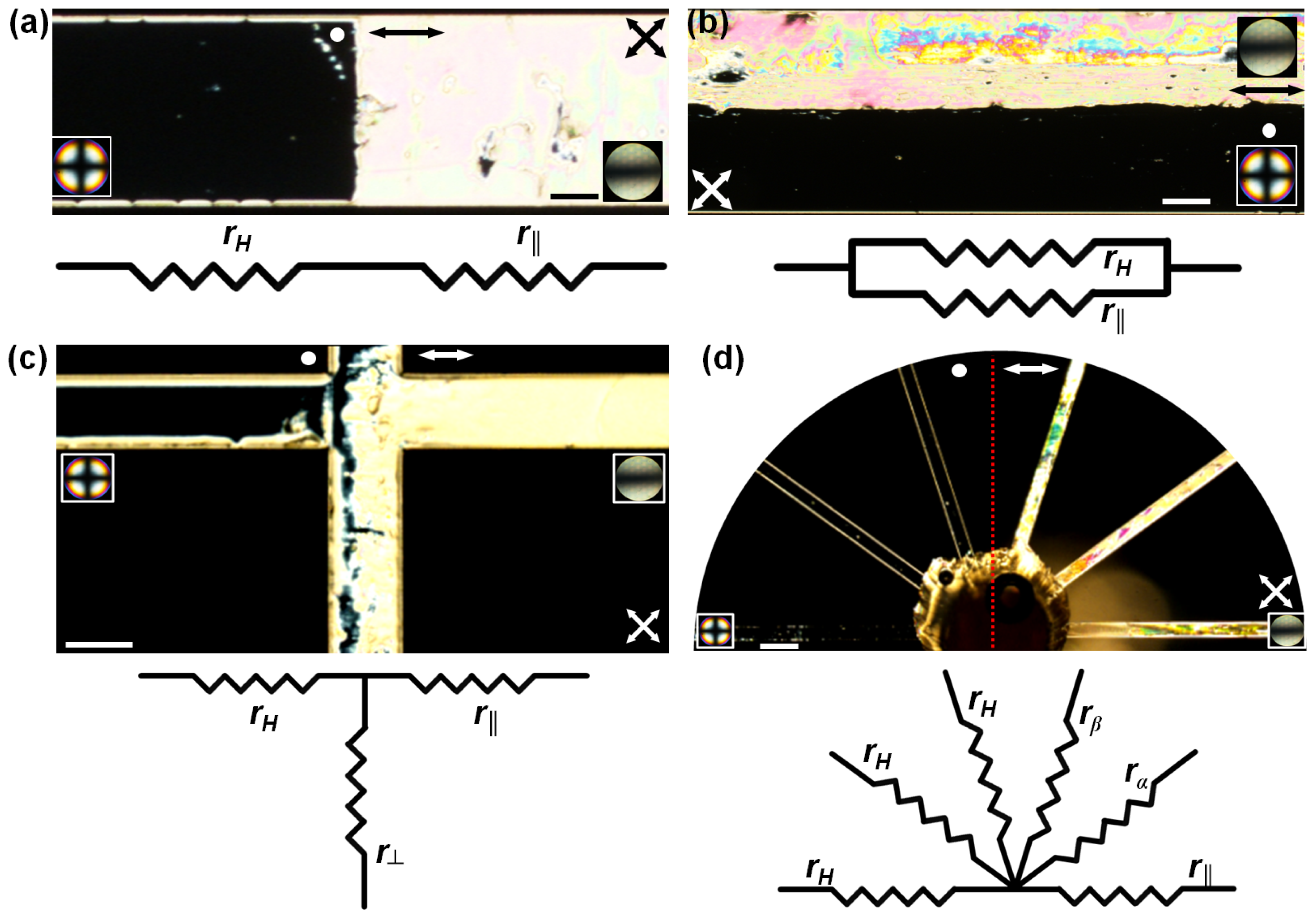 Ijms 14 22826f6 1024