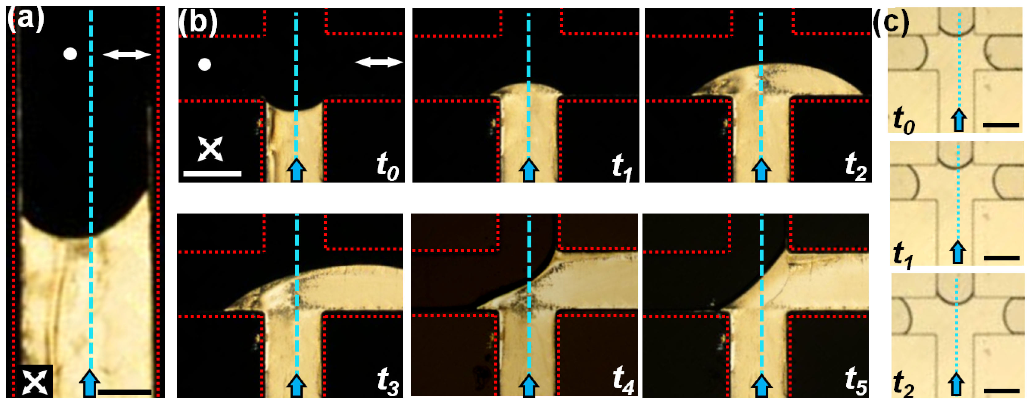 Ijms 14 22826f7 1024