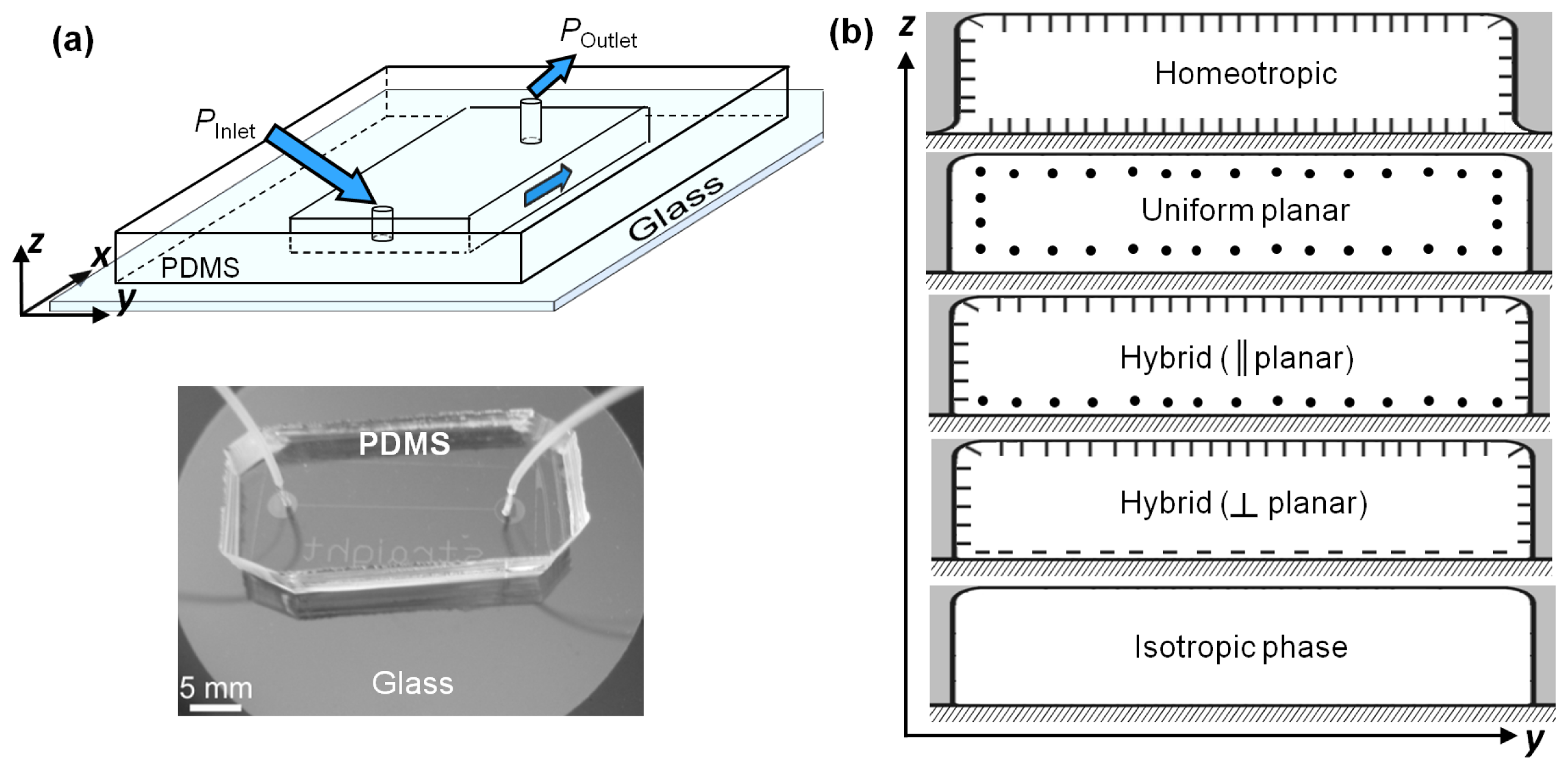 Ijms 14 22826f8 1024
