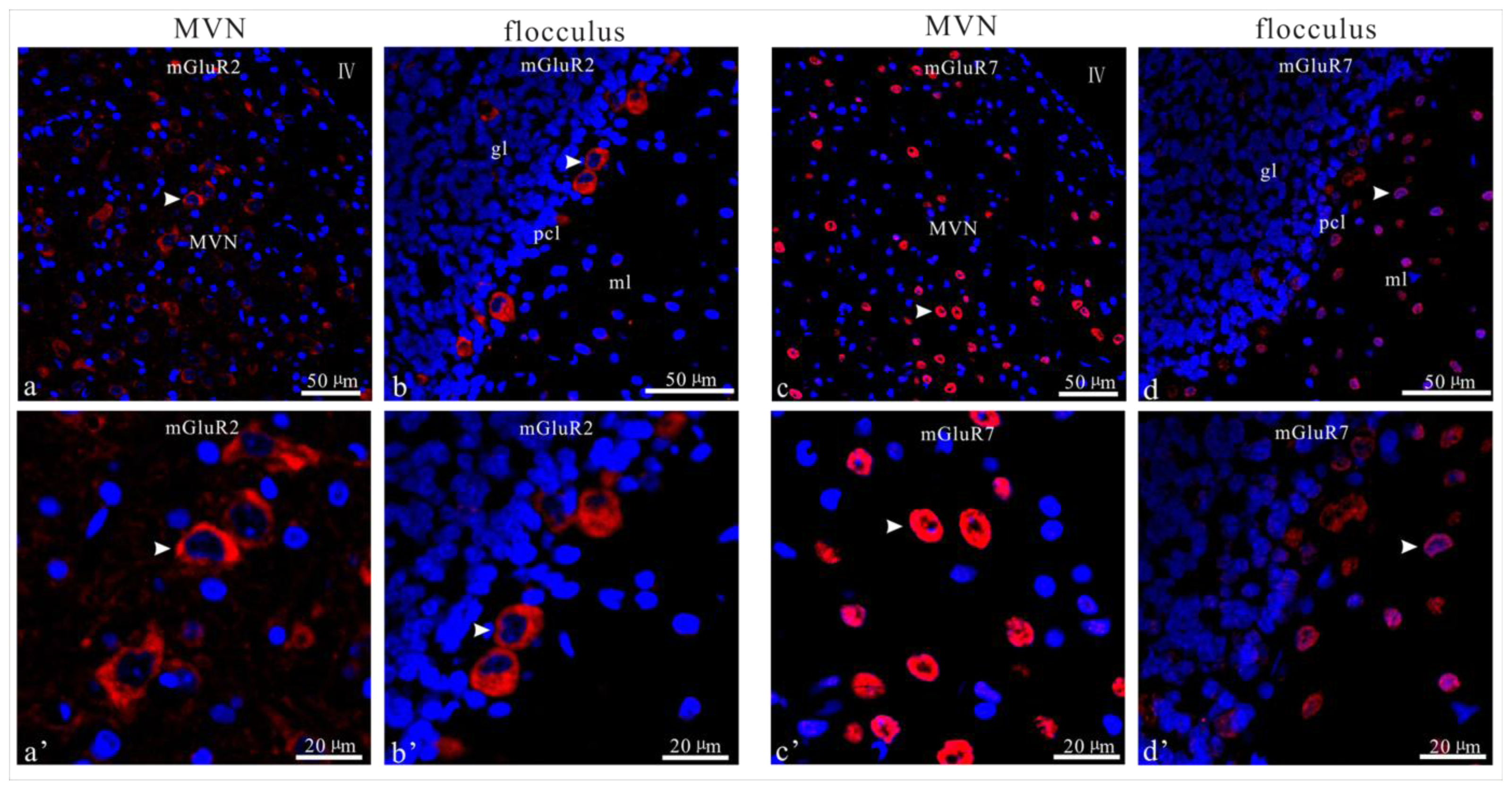 Ijms 14 22857f5 1024