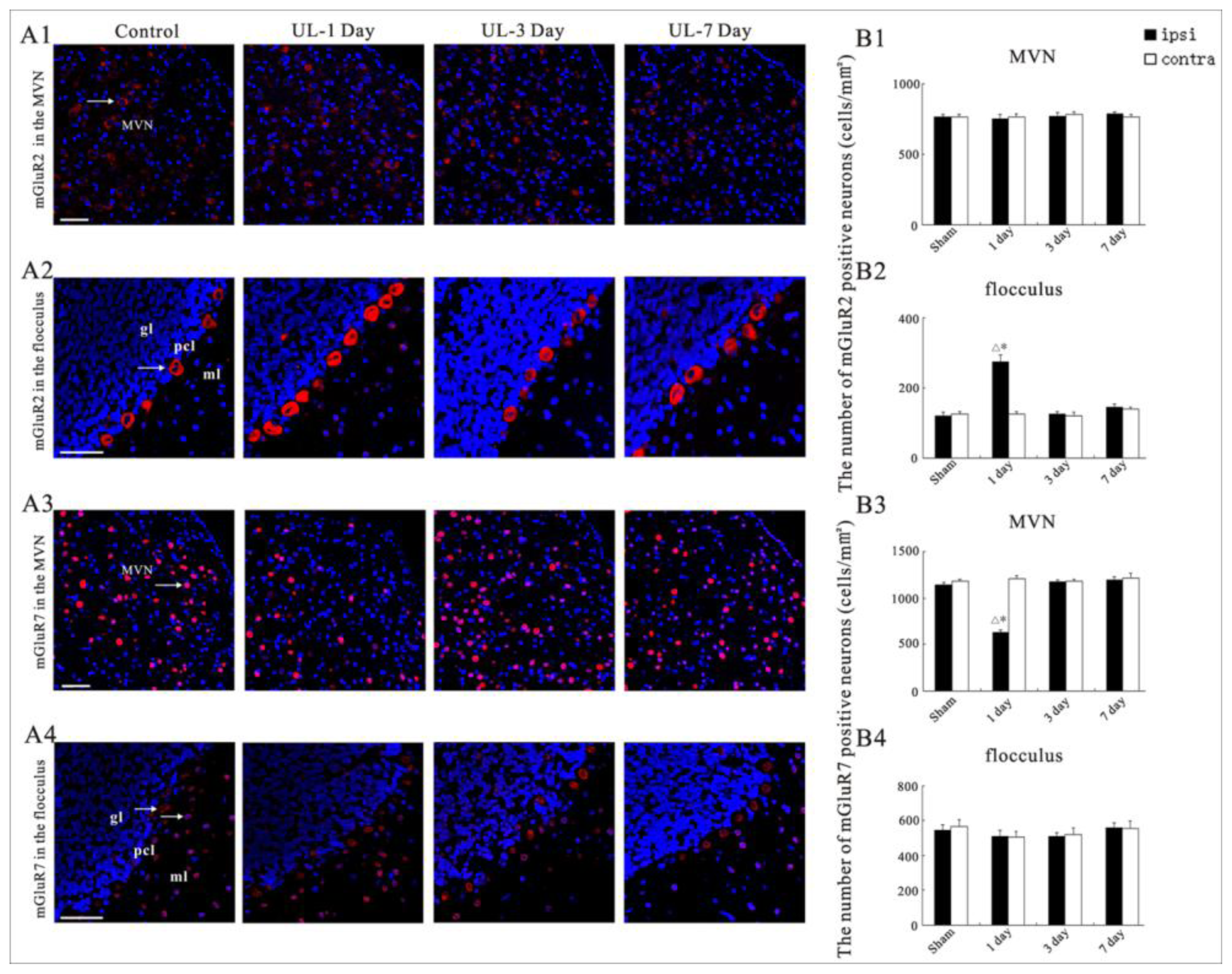 Ijms 14 22857f6 1024