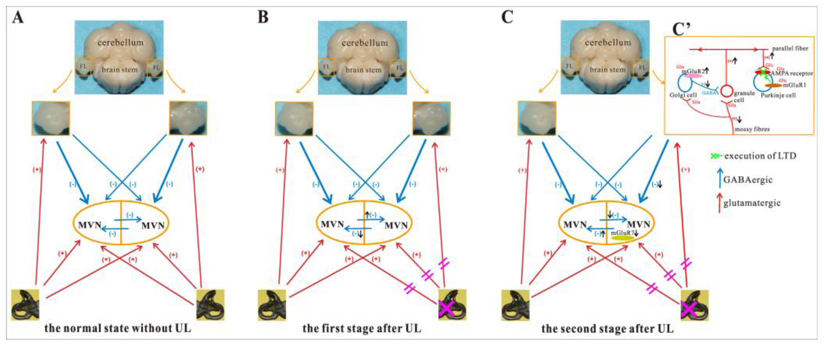 Ijms 14 22857f7 1024