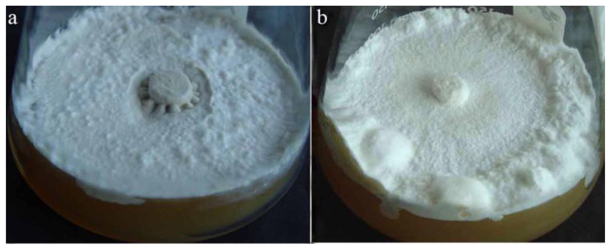 Ijms 14 22967f1a 1024