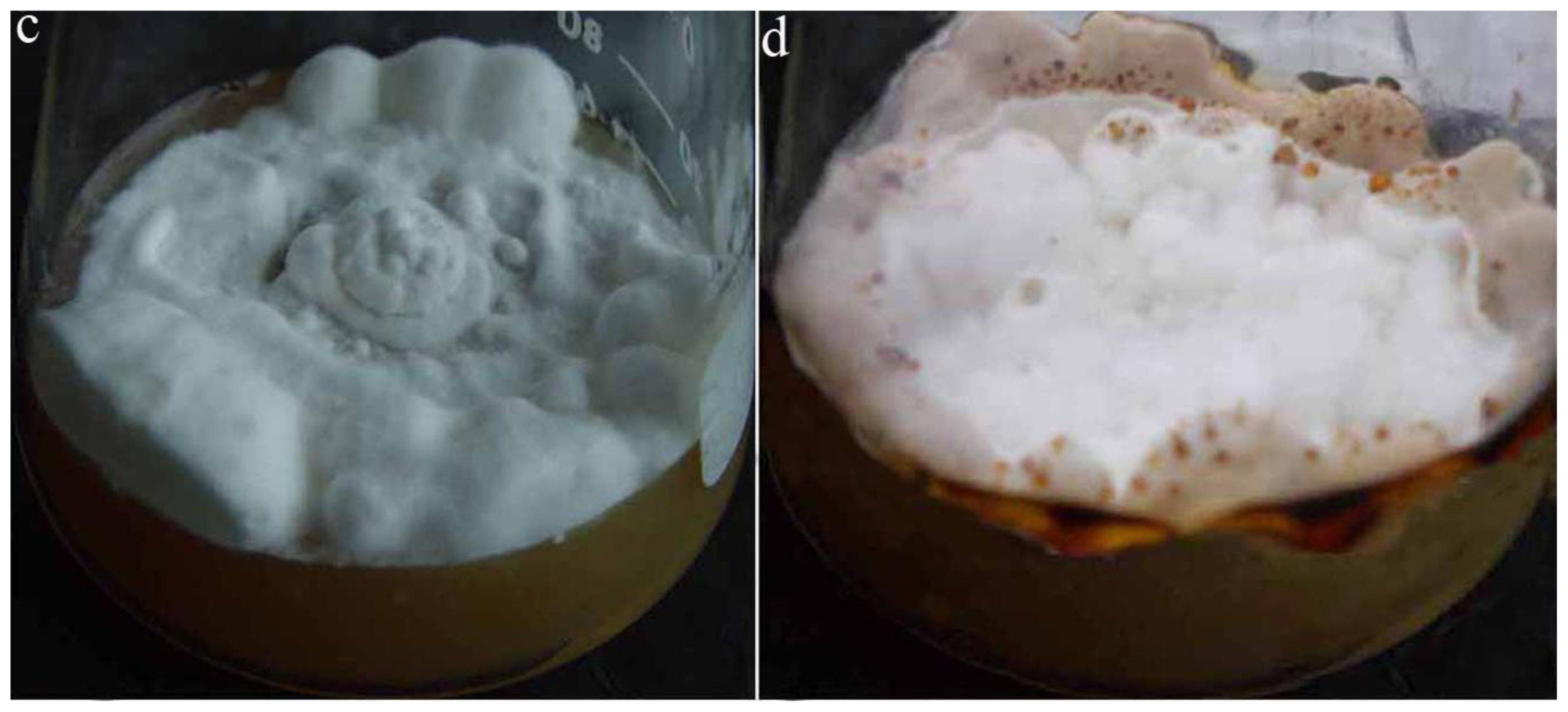 Ijms 14 22967f1b 1024